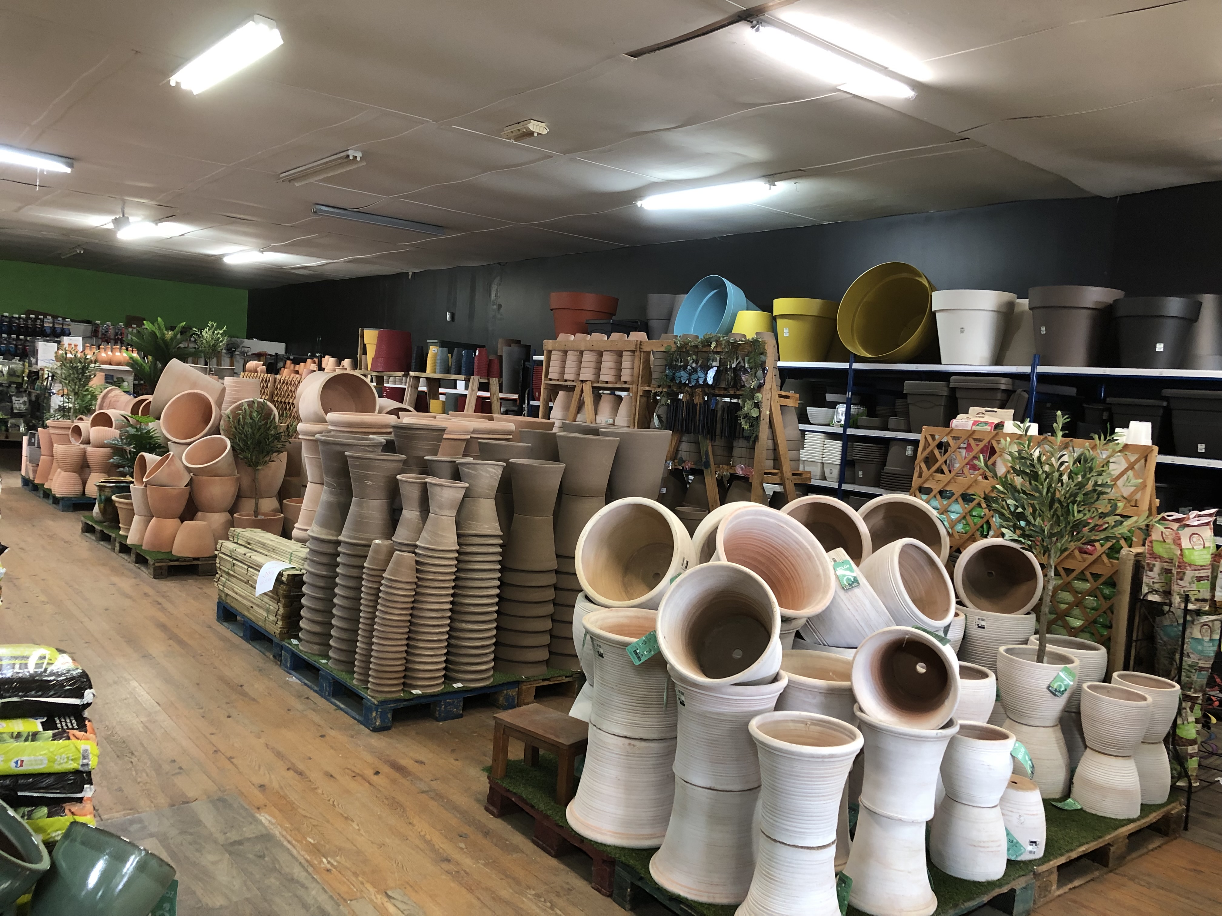 Jardinerie fleuriste
