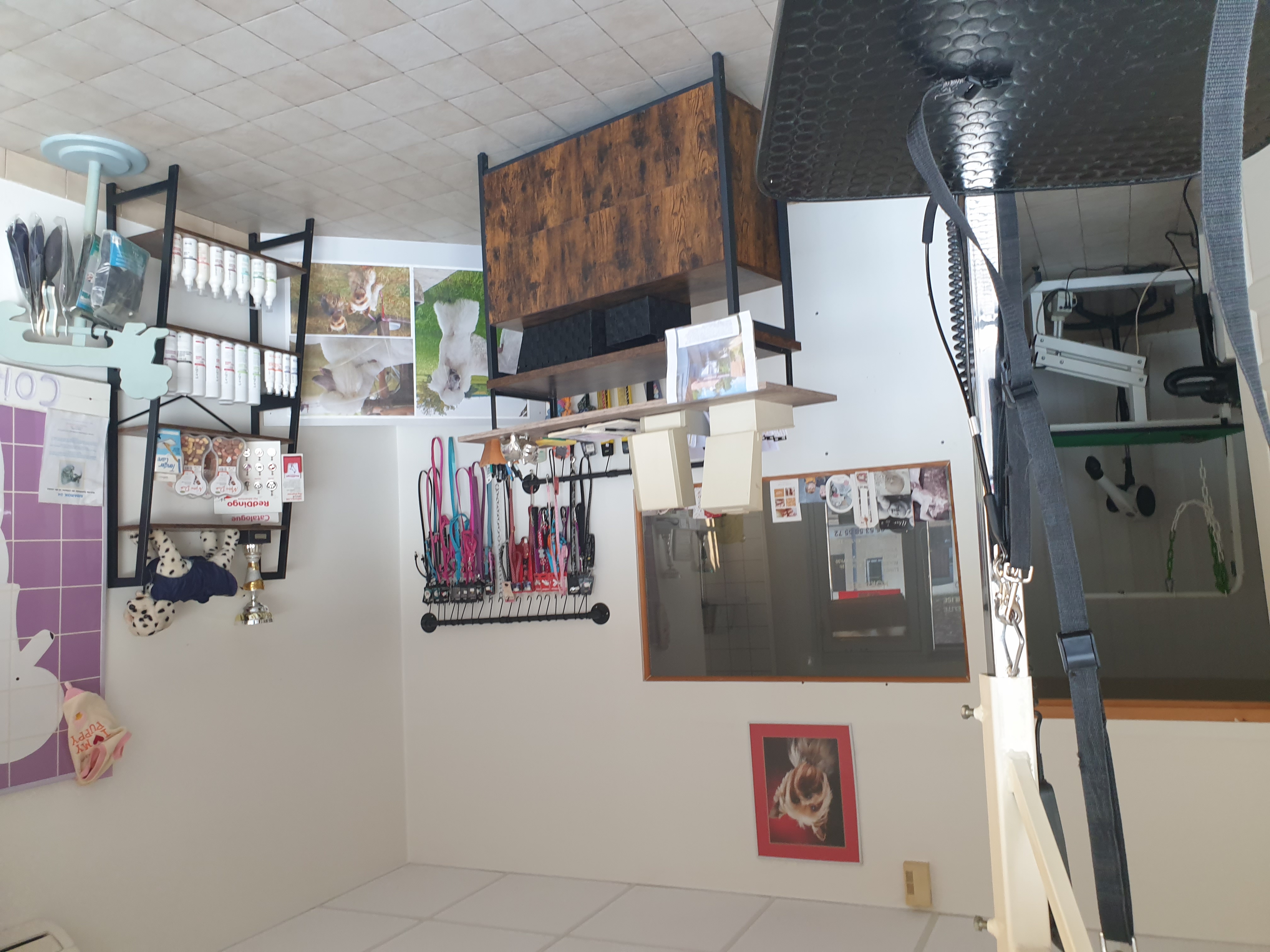 A vendre salon de toilettage situé sur une commune de 3000 habitants de l agglomération Bergeracoise. 
Bon emplacement au cœur du centre ville avec parking devant l'établissement autres commerces à proximité. Le local est exploité depuis 17 ans par la même gérante le local appartient à la mairie de la commune avec une superficie de 47m2 il comprend deux espaces de toilettage climatisé clientèles fidèles et toujours de nouveaux clients vend fond de commerce pour départ à la retraite  merci 
Pour tout contacte 
0647853157