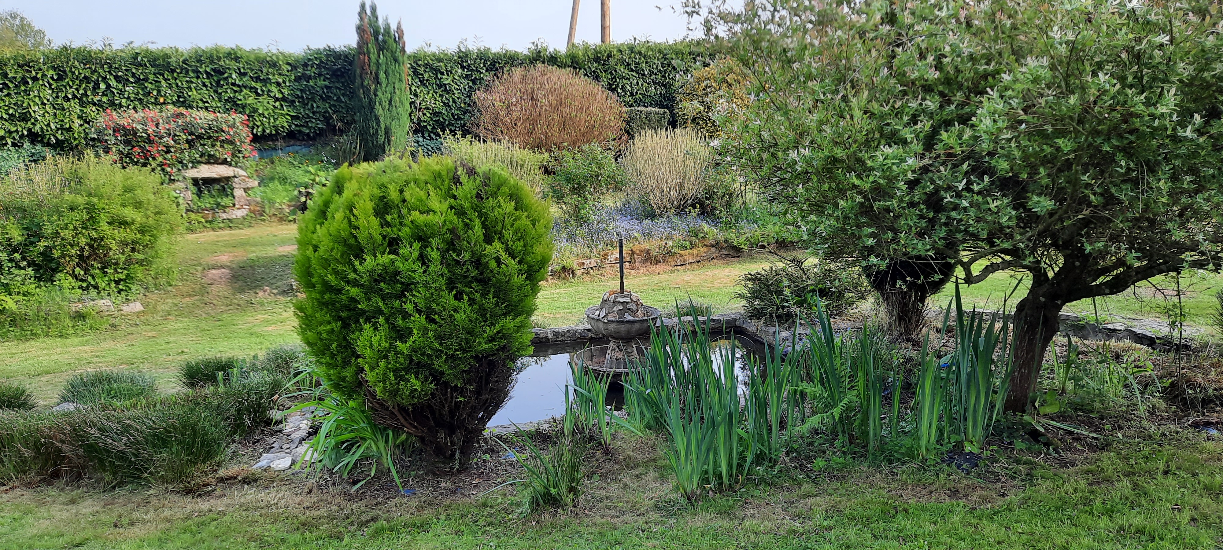 Situé sur la commune de Plumelin à 25min de Vannes et 30min de la mer. Proche commerces écoles, collèges et lycée. 
Ensemble de trois maisons sur un parc arboré et paysagé de 9000m2 environ, avec deux étangs, terrain de boules, piscine chauffée et couverte par un dôme. 
La maison principale est divisée en deux appartements. Le rdc est actuellement loué en gîte 6pers.avec terrasse et entrée indépendante. 
Au premier étage un appartement (propriétaire) terrasse ,véranda et entrée indépendante. 
Un gîte 6pers. Avec véranda et terrasse .
Un troisième gîte pour deux personnes au premier étage d'une petite maison. Au rdc se trouve le local technique de la piscine ainsi qu'une buanderie avec machines à laver. 
Tous les logements ont été rénové en totalité et moderne.
Bonne rentabilité locative .
Je reste à votre disposition pour tous renseignements complémentaires.