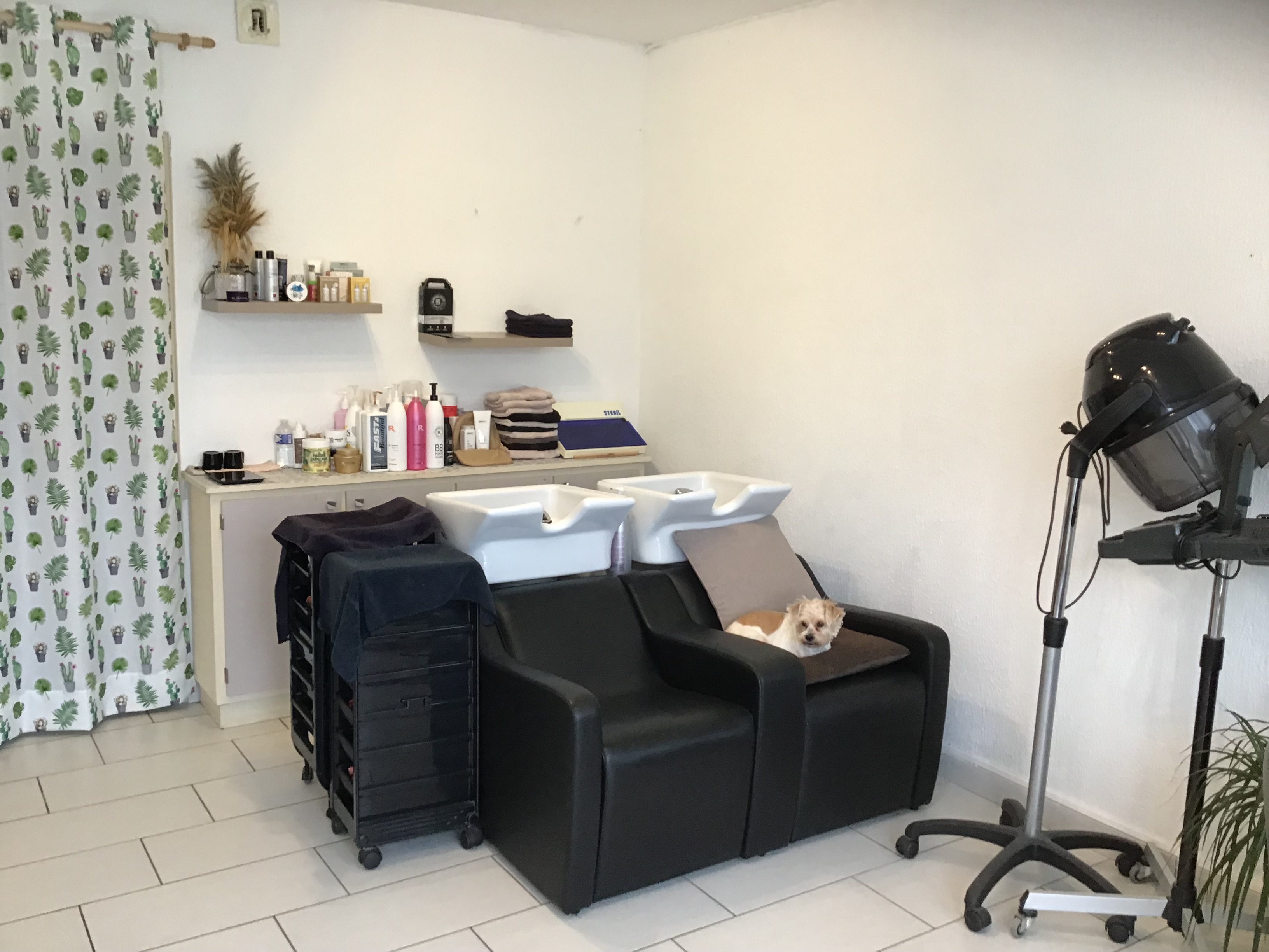 Salon de coiffure sur 25 m2 +WC+arriere boutique a reprendre gratuitement !!                                                                                              Situé dans un petit bourg dynamique sur axe  très passant  disposant  1 école, garderie,épicerie,boulangerie, 2 restaurants, 2 garages auto,1 hôtel , 1 entreprise agroalimentaire réputée employant + de 400 personnes.                                                                300 € loyer mensuel pour le local commercial seul.                              680 € loyer mensuel pour le local commercial +appartement 3 pièces à l’étage + cuisine en bas + garage + cave                          NOTA: le local se situe sur l’axe passant du village avec espaces de stationnement aisés et peut être utilisé pour toute AUTRE ACTIVITÉ ( a convenir)  toutes informations complémentaires au 0618289275