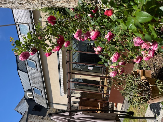 A VENDRE FOND DE COMMERCE ET MURS COMMERCIAUX (49)
Epicerie fine située à entre Angers et Saumur, à 6km des bords de Loire, dans une commune dynamique et touristique qui a également obtenu en 2025 la médaille de bronze de la meilleure épicerie fin de France.
Commerce crée en 2008 et bénéficiant d’une excellente notoriété locale et d’une clientèle fidèle. 
L’activité combine plusieurs univers qui en fait un lieu chic mais très familial. La Surface est de 160m² composé d’un espace de vente de 90m² et d’un étage de 70 m² qui comprend la partie stockage et bureau
-	Epicerie sucrée et salée
-	Salon de thé avec 3 espaces distincts, le 1er en intérieur, dans la continuité une verrière de 22m² et un jardin Toscan de 100m² à l’abri des regards (en plus des 160m² intérieur)
-	Une activité de torréfaction artisanale avec un torréfacteur installé au cœur de la boutique qui permet de proposer une quinzaine de références de cafés du Monde
-	La vente de thés, tisanes, infusions où se mêlent une centaine de références avec des grandes maison comme DAMMANN FRERES ou encore COMPTOIR FRANÇAIS DU THE
-	Une partie vente d’accessoires thé et café
-	La vente de bonbons de chocolat en vrac ou ballotin avec des fournisseurs comme GUISABEL ou VALRHONA
-	Une cave à vin, comprenant une centaine de références, une quarantaine de spiritueux et des bières locales
-	Des cadeaux gourmands et produits du terroir
Une cuisine est également présente et équipée de matériels professionnels
La partie boutique est climatisée. 
L’établissement est reconnu en accessibilité handicap et toilettes PMR.
Outil de travail opérationnel immédiatement et qui dispose d’une licence 4
Accompagnement possible lors de la reprise afin de faciliter la transition et d’une formation au besoin sur la torréfaction.
Potentiel de développement (évènement, dégustation, panier cadeaux…)
Dossier complet et renseignements complémentaires sur demande après un premier échange par téléphone et/ou visite
Prix du fond de commerce : 120000€
Prix des murs commerciaux : 210000€
Les 2 peuvent être vendus indépendamment. 
CA 2024 : 280k€ / CA 2025 : 261k€
Le fond de commerce comprend 1 salariée.