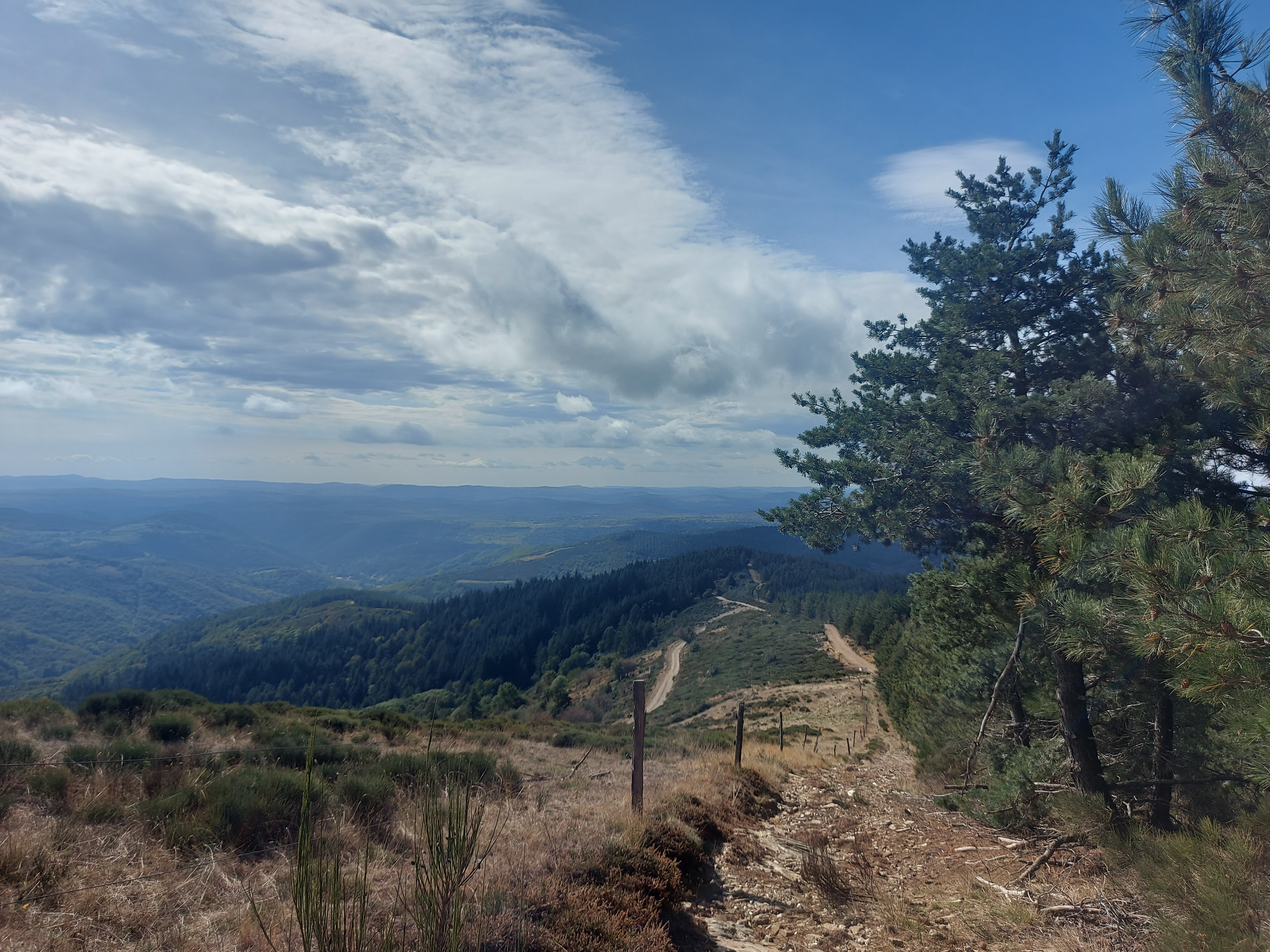 Dans un charmant village au cœur de la nature avec vue sur les collines, fonds de commerce d'un Gîte de Groupe 3 étoiles en sud Cévennes.
Idéal première affaire dans l'hôtellerie ou reconversion professionnelle.
Gestion simple tenue par un couple, activité (10 mois/12) avec une bonne rentabilité. 
Logement de fonction 3 chambres sur place. 
Faible loyer (-1000€/mois). Bail 3/6/9. Zone ZRR.

Apport LIBÉRÉ de 120.000€ nécessaire pour envisager une visite.
CA 2025 : 90.000 € 
Affaire "clé en main" pour des repreneurs désireux de vivre dans un lieu où la nature est préservée.