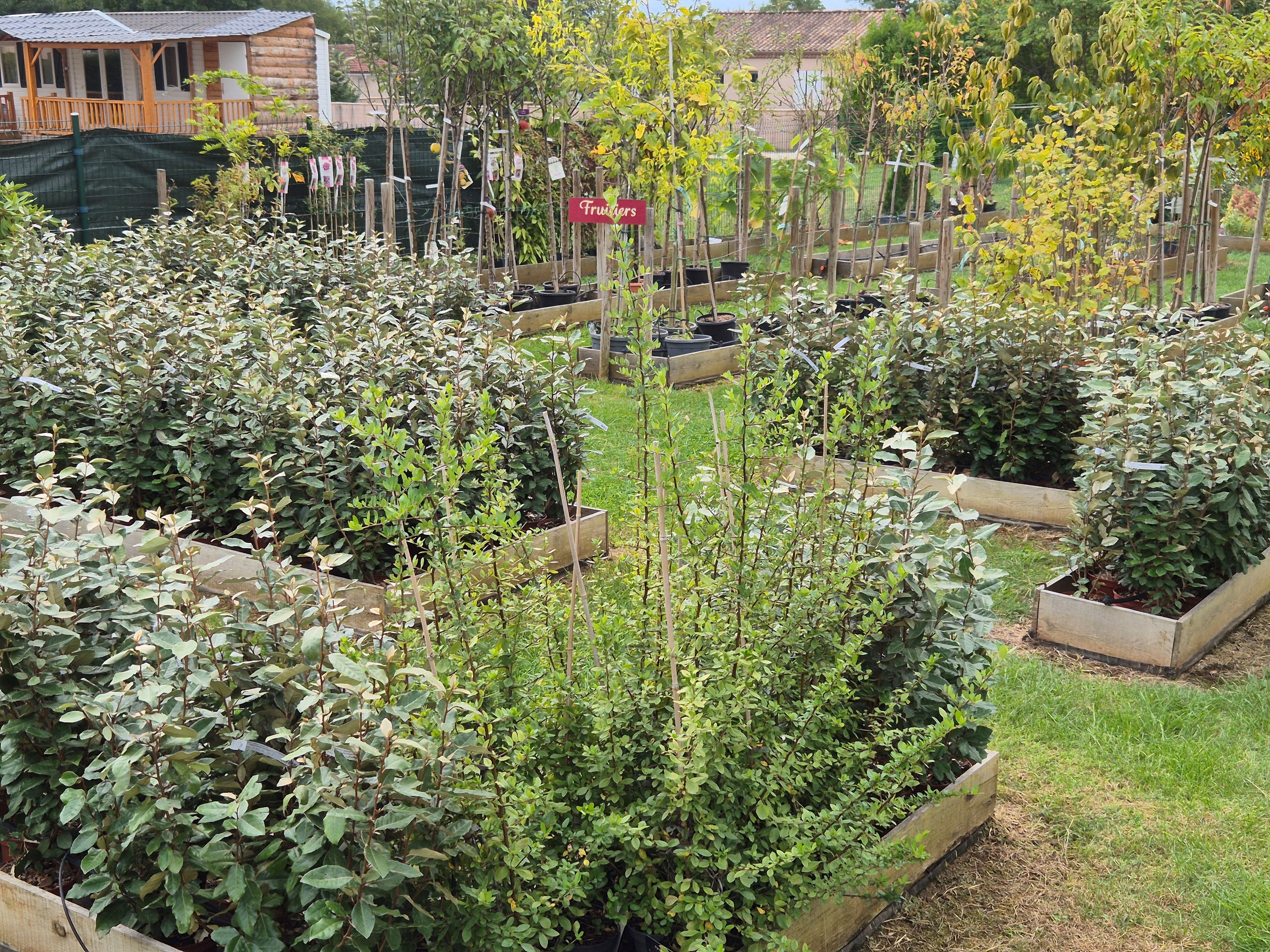 À vendre fonds de commerce de jardinerie idéalement situé à Saint-Vite (Lot-et-Garonne), en bordure d’un axe très passant avec parking clientèle.

Existant depuis 4 ans, Le Jardin d’Olivier jouit d’une excellente visibilité locale et dispose d’une clientèle variée : particuliers, professionnels, collectivités, campings…

🔹 Surface du magasin : 180 m²
🔹 Terrain attenant : 850 m²
🔹 Activités : vente de végétaux, terreaux, poteries, fournitures de jardin, etc.
🔹 Clientèle fidélisée et diversifiée
🔹 Loyer mensuel : 960 € – bail commercial en cours
🔹 Matériel et équipements inclus dans la vente
🔹 Aucun salarié à reprendre

💰 Prix de vente du fonds de commerce : 28 000 €(hors stock)
📍 Idéal pour une reprise en solo ou en couple, avec fort potentiel de développement (pépinière, produits bio, aménagements paysagers, etc.).