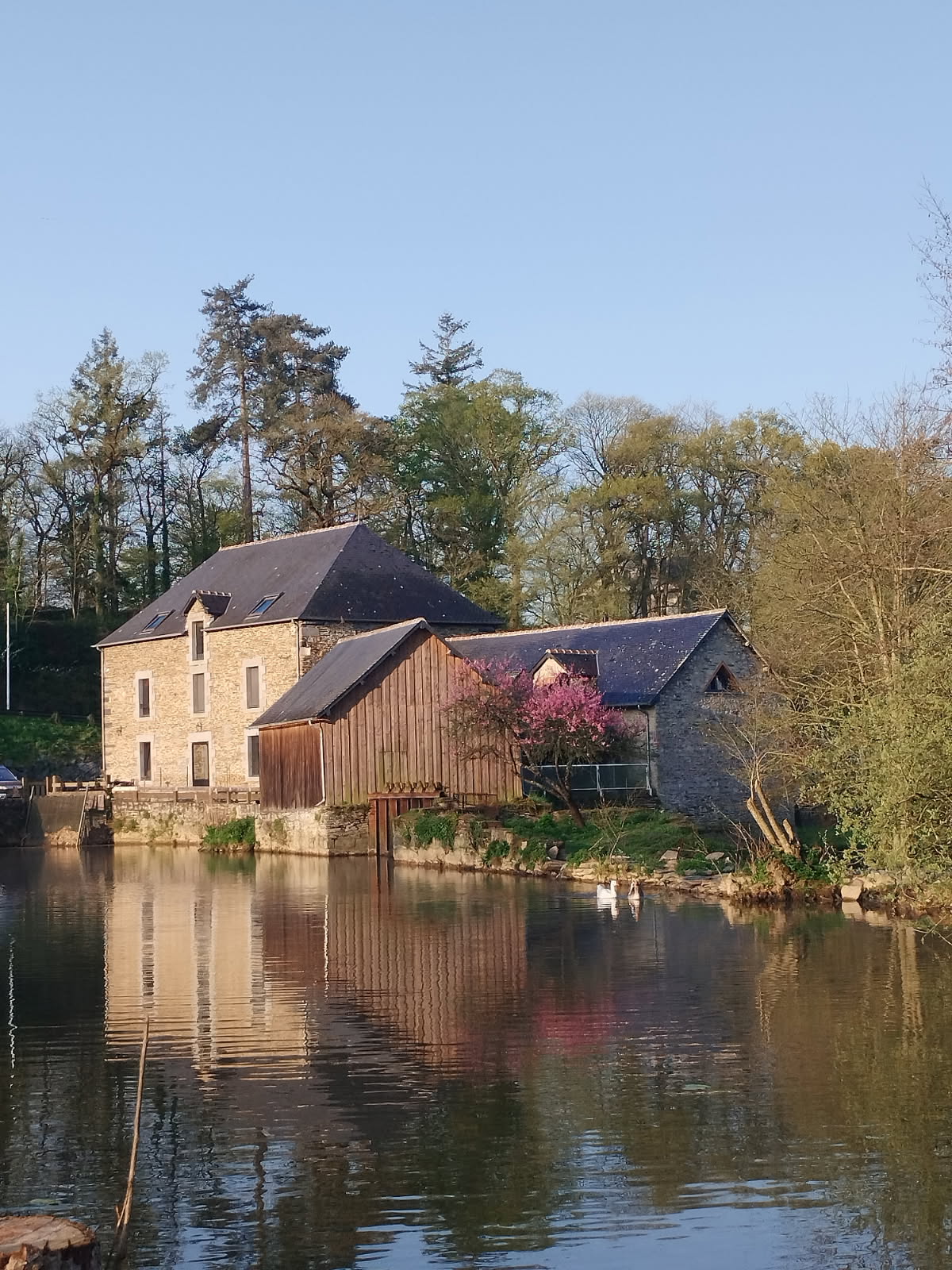 auberge et chambres d'hôtes