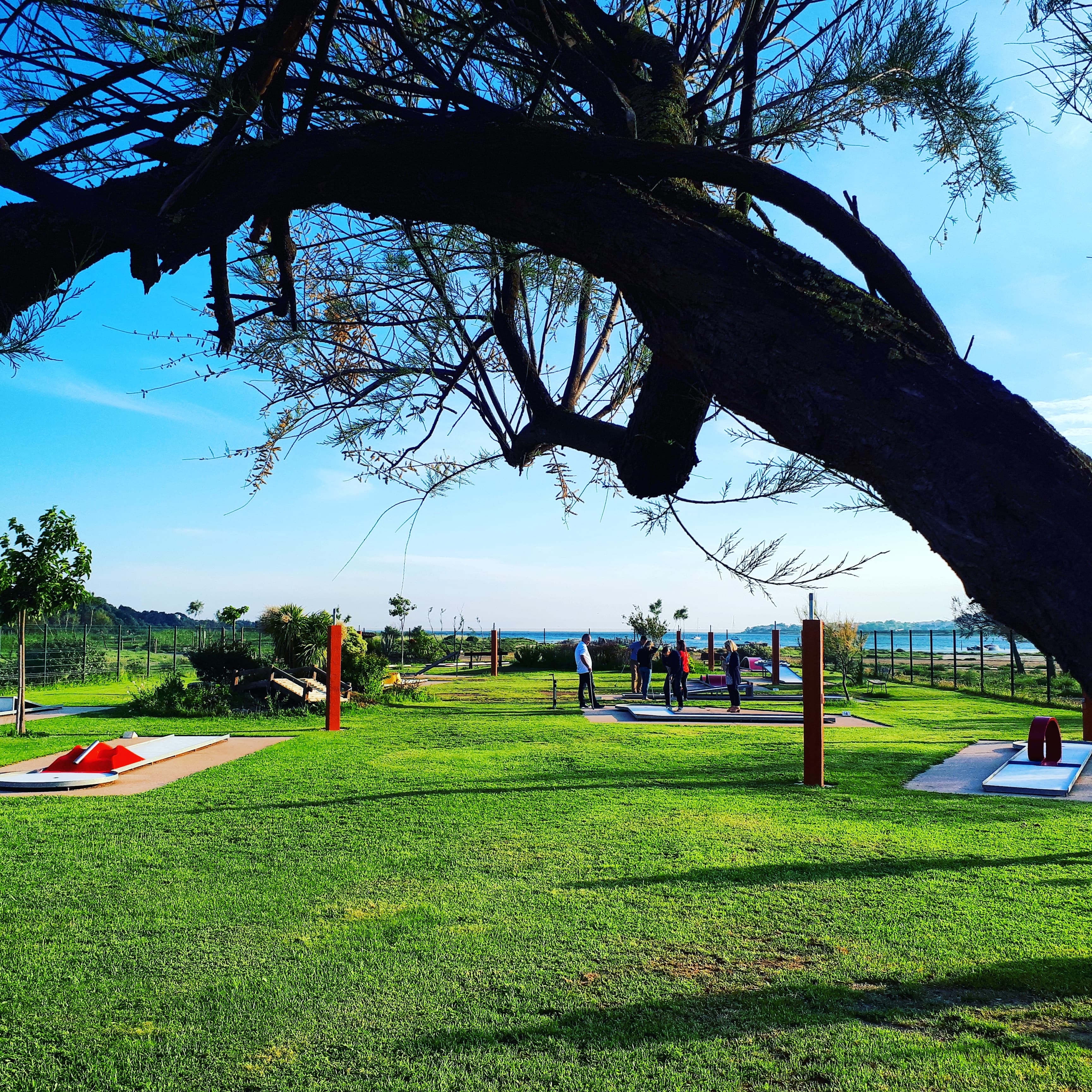 Au bord de l'étang de Thau , dans la crique de l'angle un site magnifique ou j'ai construit le mini golf en 2008 .
Aujourd'hui je souhaite prendre une retraite bien mérité.
18 pistes sur 2300m2 de terrain avec un loyer à la mairie car terrain appartenant à la commune.
Accueil avec matériel petite restauration car bar et  terrasses fasses à l'étang