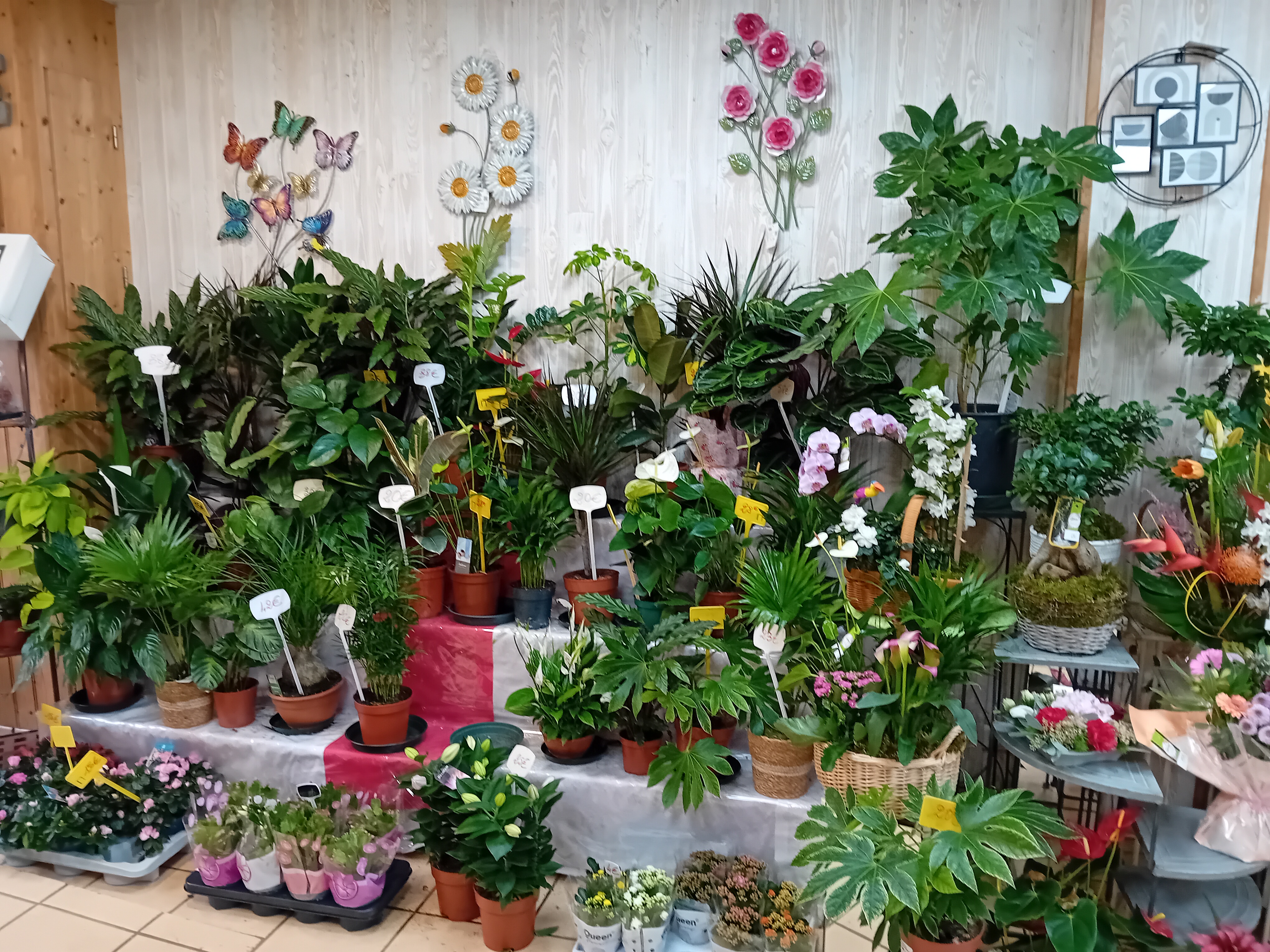 A vendre fond de commerce fleuriste/cadeaux/ articles funéraires dans ville de 3500 habitants , surface de vente de 120 m2 avec possibilité étalage extérieur dans une rue piétonne.