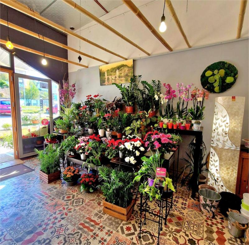 𝐒𝐮𝐢𝐭𝐞 𝐚̀ 𝐮𝐧 𝐝𝐞́𝐬𝐢𝐬𝐭𝐞𝐦𝐞𝐧𝐭 𝐩𝐨𝐮𝐫 𝐫𝐚𝐢𝐬𝐨𝐧 𝐟𝐚𝐦𝐢𝐥𝐢𝐚𝐥𝐞 𝐦𝐚 𝐛𝐨𝐮𝐭𝐢𝐪𝐮𝐞 𝐞𝐬𝐭 𝐭𝐨𝐮𝐣𝐨𝐮𝐫𝐬 𝐚̀ 𝐯𝐞𝐧𝐝𝐫𝐞. 𝐓𝐫𝐞̀𝐬 𝐛𝐨𝐧𝐧𝐞 𝐚𝐟𝐟𝐚𝐢𝐫𝐞!

MONTCUQ (46800)

Après des années de passion et de dévouement, je m'apprête à prendre ma retraite et à passer le flambeau de ma boutique de fleurs.

Cède fonds de commerce fleuriste, établi depuis 2006. Bénéficiant d'une excellente réputation, ce commerce bénéficie d'une clientèle fidèle et d'un emplacement stratégique sur un axe passant sur la commune de Montcuq (46)

Le local sur 60 m², avec une mezzanine de 20 m² offrant un espace supplémentaire pour l'exposition de produits ou le stockage est en parfait état et dispose d'un parking facilitant l'accès. Le matériel entretenu permet une reprise clé en main.

Activité fiabilisée qui assure un chiffre d’affaire stable depuis plusieurs années. L’exploitation est porté par la seule gérante.

Une opportunité idéale pour reprendre une entreprise saine, où vous pourrez exprimer votre savoir-faire et votre créativité.

Le fonds est cédé sans aucun contrat salarié en cours

Accompagnement possible par la cédante, par la Chambre des Commerces et de L'Industrie et par la Chambre des Métiers et de l'Artisanat.

Amis(es) fleuristes, si vous vous voulez changer d'air, ouvrir une seconde boutique, vous êtes salariés (ées) et vous voulez voler de vos propres ailes, ma boutique est la vôtre.
Prix très intéressant à débattre
Pour plus de renseignements veuillez me contacter

Téléphone : 0565229641 ou 0685157976