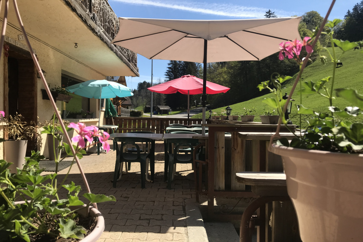 Bar restaurant