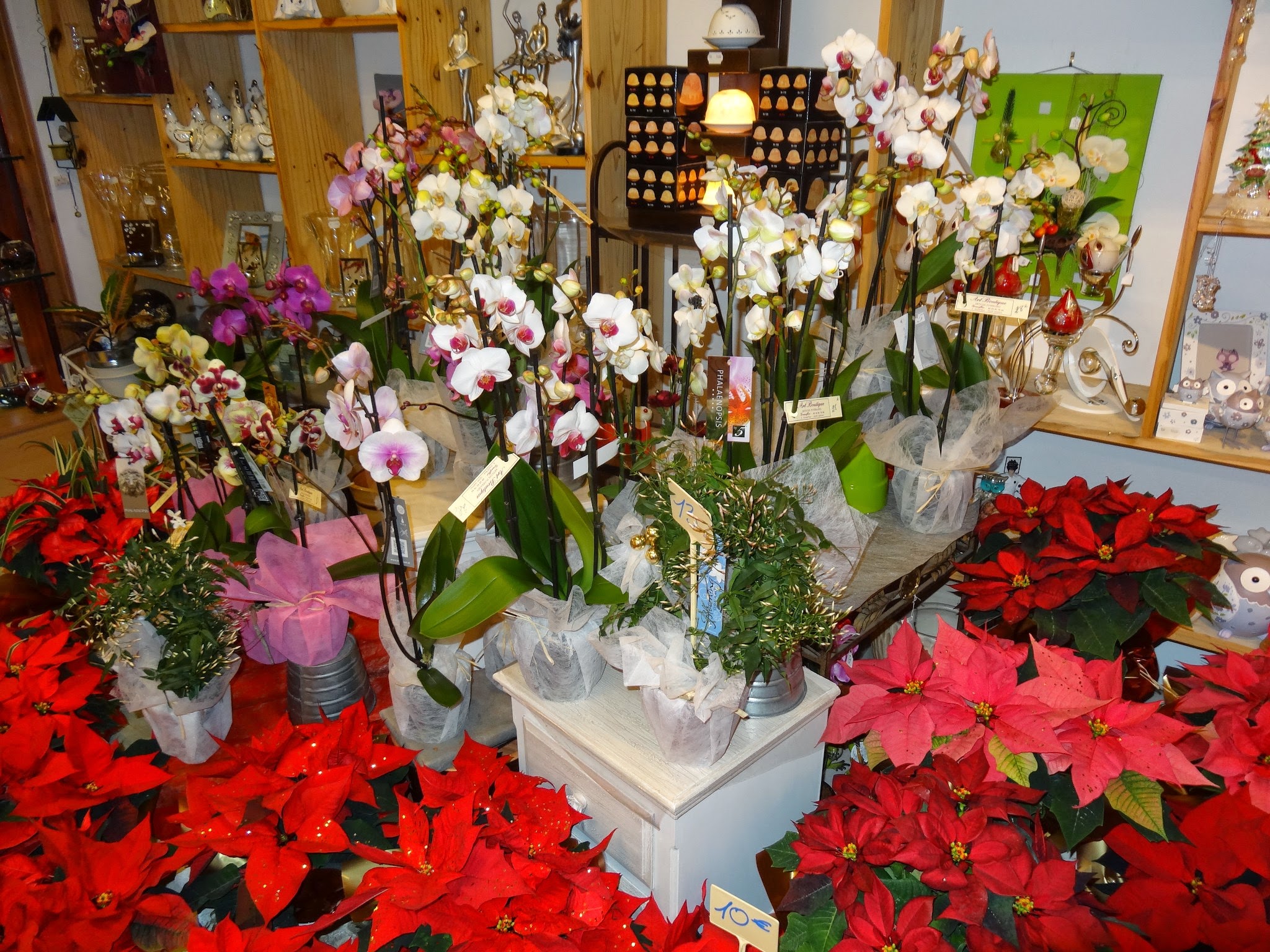 Grande boutique de fleurs, plantes, décorations diverses et articles funéraires.
Situé à Jarnac au pays du cognac (entre Angoulême et Cognac et à 80km de l’océan)
ce joli magasin en activité depuis plus de 35 ans (avec une superficie d’environ 140m2 et autant de réserve) vous offrira toutes les opportunités pour développer vos envies créatives.
L’emplacement est idéal à un angle de rue et à 20 mètres du parking gratuit et de l’entrée de la ville nous sommes entouré de commerces drainants, pharmacie, boulangerie, pâtisserie, boucherie et coiffeur…
La clientèle est fidèle, la ville dynamique, bonne fréquentions du lieu. 
Nous avons également 16 mètres de vitrines.
Le magasin de dispose pas de chambre froide mais l’ensemble est sur climatisation réversible dont les principaux groupes ont été remplacés il y a 3 ans. 
Ce fond de commerce est cédé clés en mains sans salarié.
Le loyer est de 990€/mois