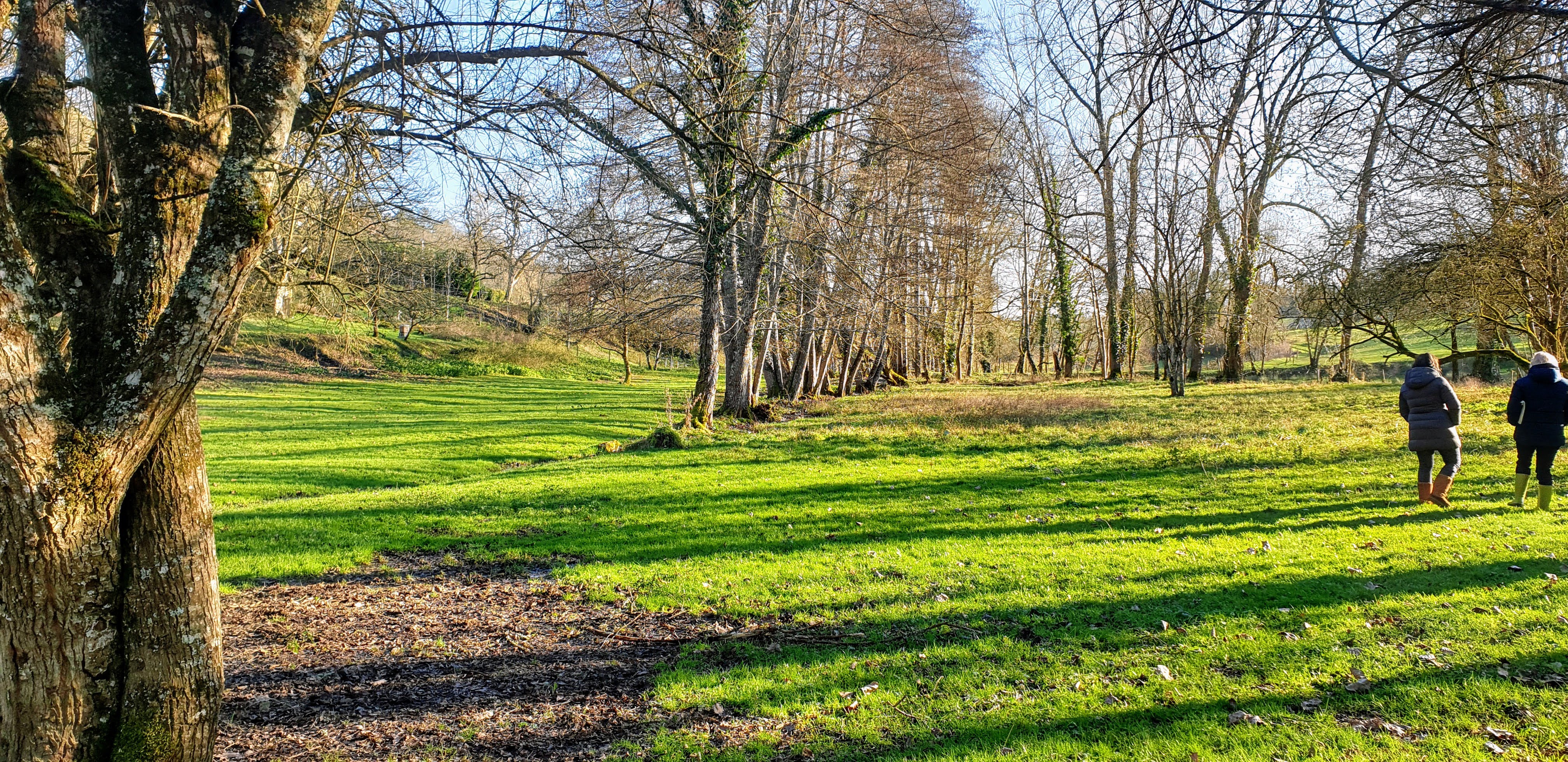 Maison typiquement Périgourdine en pierres de 160M2 4 chambres (possibilité 5) et 4 sdb. Cuisine, SAM, Sauna, caves + Un gîte en pierres de 60M2. 

Située en pleine nature au coeur du Périgord noir et au calme, la maison fait partie d'un petit hameau au creux de la vallée du Douime. Idéale pour maison d'hôtes ou recevoir une grande famille.

Si vous souhaitez plus d'informations ou de photos, n'hésitez pas à nous contacter.