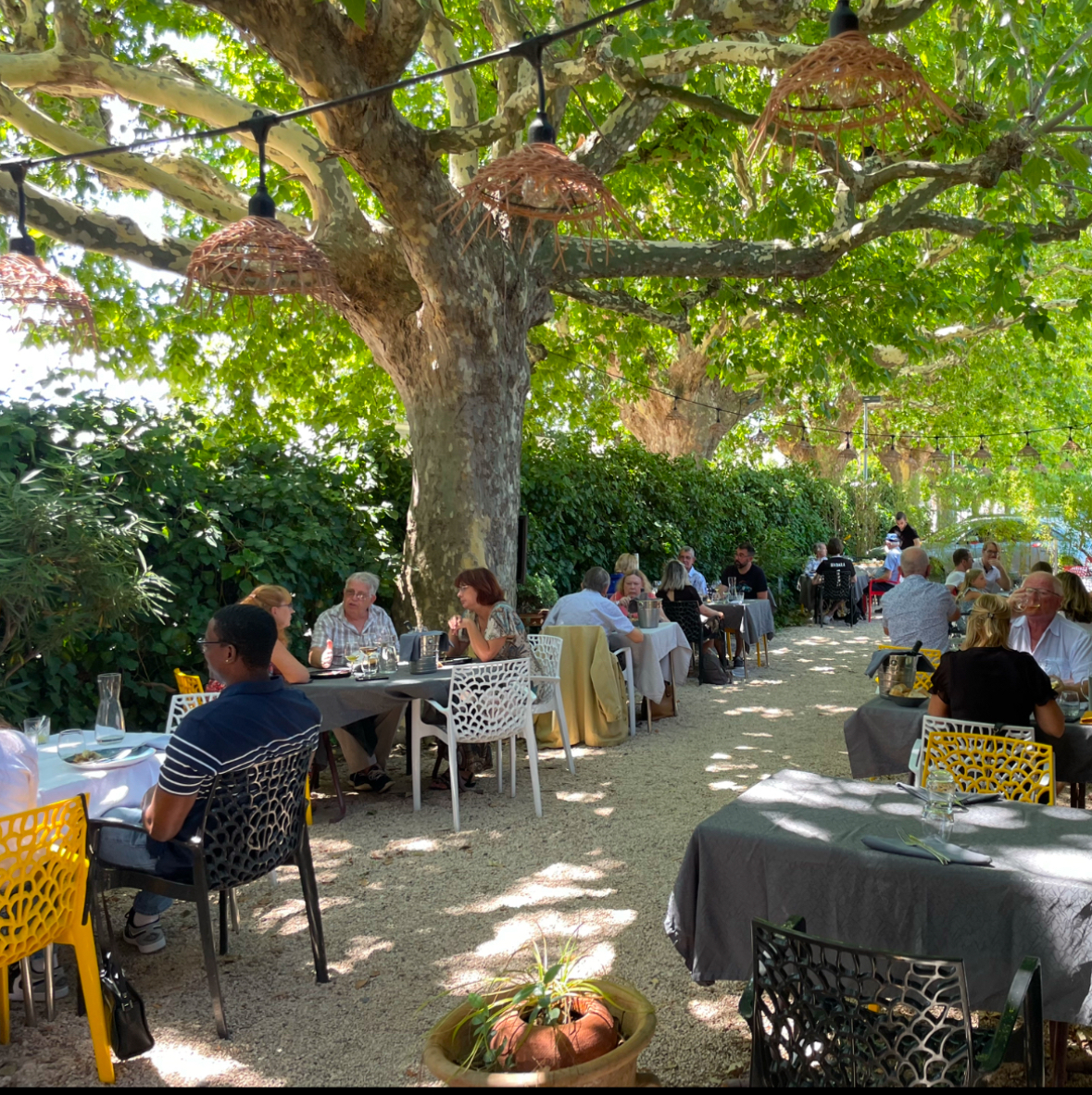 HÔTEL- RESTAURANT fond de commerce à tous les traits de caractère.l’établissement dispose d' une petites dizaines de chambres, d'un restaurant pouvant accueillir plus d'une soixantaine de couverts à l'intérieur, plus d'une soixantaine de couverts à l'extérieur.
Cuisine, salle à manger, bar, lingerie, parking, Terrasse plein sud lumineuse, ensoleillée, ombragée, pleine de charme avec une fontaine.
Matériel professionnel en bon état (four Rational mixte, chambre froide, rénovée en 2020) Grand lieu de stockage.
Loyer 4200€ ttc