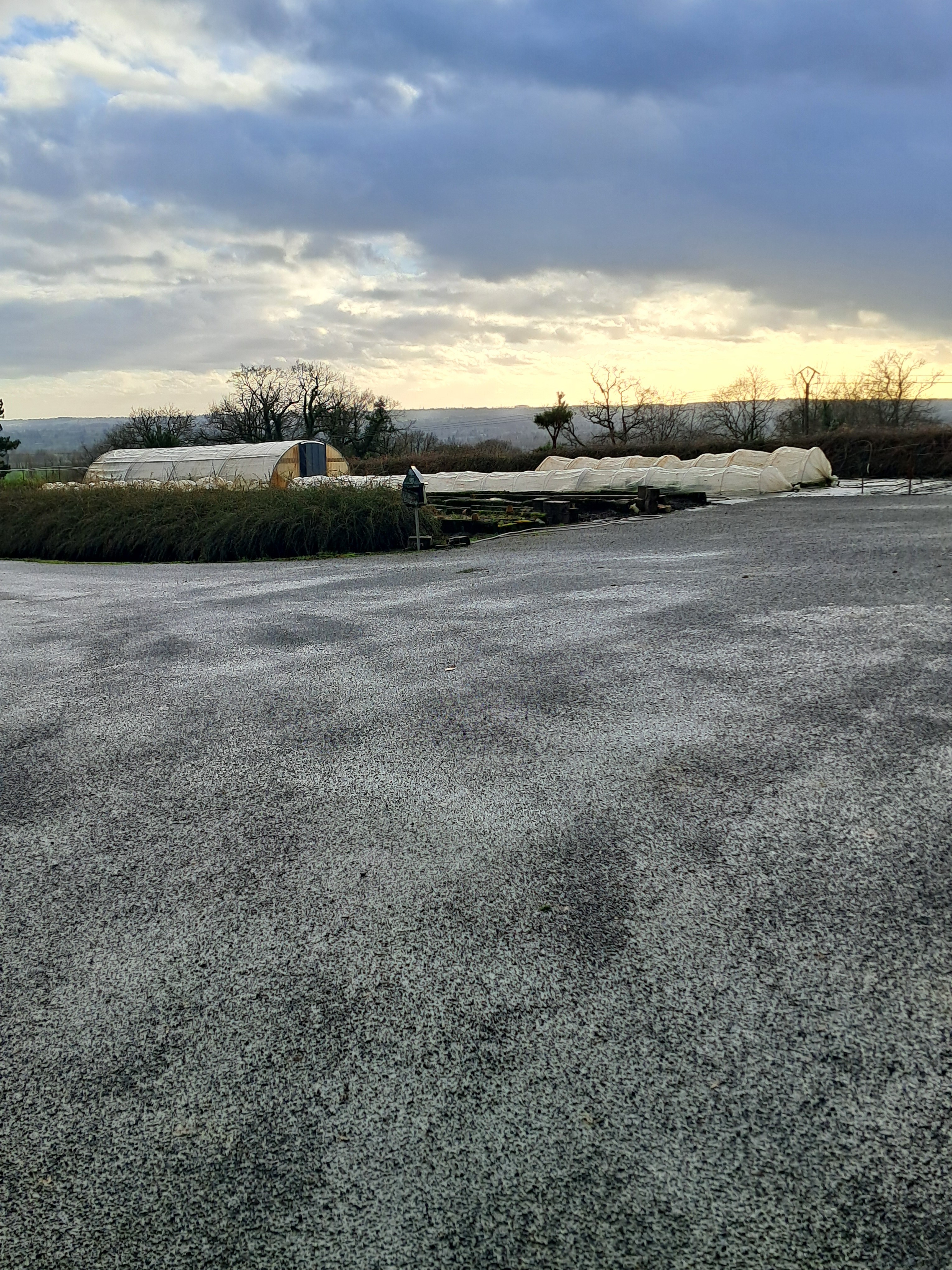 Exploitation horticole à vendre avec emplacement facile d'accès, un cadre agréable, en vente directe, outil qui peut s'adapter à d'autres productions. 

Localisation : département de la Manche, proche de Mortain-Bocage.

Exploitation :
- Type d'installation : individuelle
- Mode de cession : tout en vente
- Activité : culture sous serres et tunnels, pépinières, horticulture,  maraichage
- SAU : 3,00 ha
- Logement repreneur : logement à trouver

Foncier : exploitation horticole serre de 2 400 m2 en verre de 1999 et 2006 : 
- ouverture automatique selon une température définie
- arrosage automatique
- chauffage avec 3 chaudières fuel
- couloir bétonné 
- bâtiment fonctionnel, en bon état
- avec magasin
- bureau
- grande cour bitumée
- parc matériel (camion, tracteur, broyeur, caisse, pulvérisateur, remorque horticulteur)

Pour plus de détails, vous pouvez nous contacter au numéro affiché.