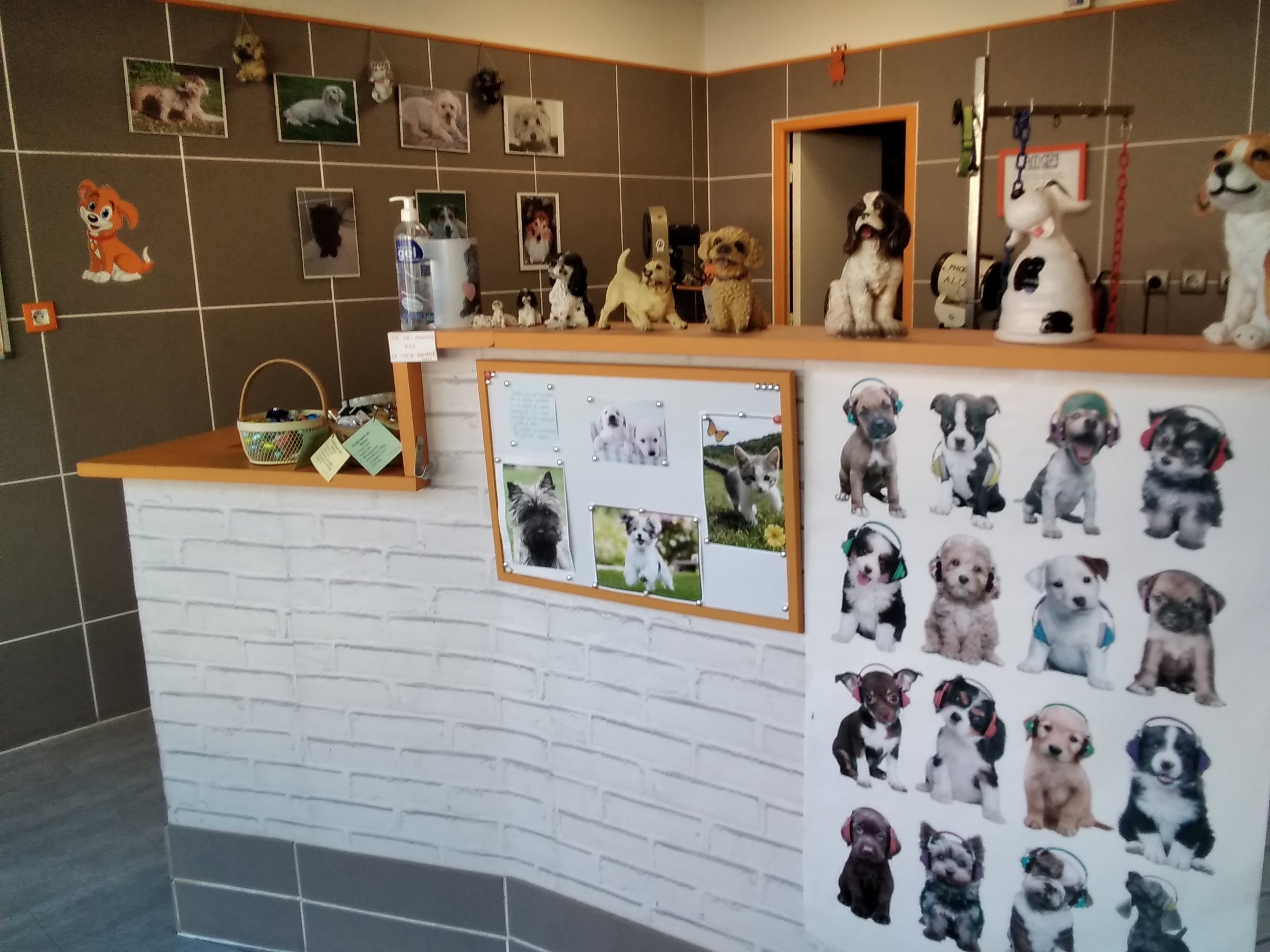 Salon de toilettage très bien situé sur un boulevard,clientèle fidèle et très agréable.
Je suis installée depuis 11 ans er je souhaite trouver un repreneur amoureux des animaux et passionné par son métier et ainsi pouvoir prendre ma retraite