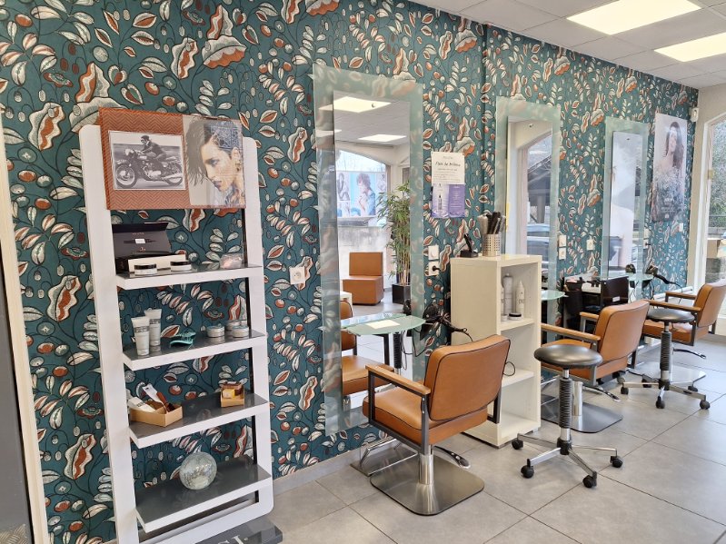 Vends salon de coiffure implanté au coeur d'un village de la Drôme des Collines depuis vingt ans. Clientèle très fidèle et régulière. Superficie 90 mètres carré.
Salon en parfait état totalement rénové aux normes handicapés et mobilier neuf, très lumineux avec stationnement gratuit dans tout le village.  Quatre postes de travail , un espace barbier, deux bacs à shampoing électriques, réserve-buanderie, toilettes, grande cuisine pour la pause déjeuner.
Un salon où il fait bon travailler avec vue très agréable sur un coteau arboré.
A visiter en toute sérénité