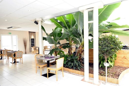 A vendre fonds de commerce d’un Bar - Hôtel – Restaurant à Lorris (20mn de Montargis). Situé entre la forêt d'Orléans et la "Loire à vélo", Lorris est une petite ville dynamique qui offre un cadre de vie attrayant :  nombreux commerces, écoles (maternelle au collège).

L’établissement est situé en plein de cœur de la ville (emplacement N°1), sur une place à forte commercialité qui permet aux consommateurs de bénéficier d’une offre complète. Bonus un grand marché une fois par semaine.

Bar – Restaurant

Il propose un service du midi (mardi au samedi), il a su fidéliser une clientèle locale, d’affaires et touristique.  Opportunité de développement en proposant un service le soir et des soirées à thème.

Il est composé d’une salle de restaurant climatisée de 100 couverts et de 2 terrasses de 35 et 50 couverts. Et du bar d’une capacité de 20 places (ouvert du mardi au samedi soir). Mobilier renouvelé en 2018, pas de travaux à prévoir.

Il dispose d’une grande cuisine de 60 m2, une arrière-cuisine + une réserve, 1 office pour le personnel et d’un accès livraison. Tout l’équipement de la cuisine est fonctionnel (chambre froide, piano 2018). 

Hôtel

Ouvert 7/7 et 24/24, il dispose de 8 chambres équipées tout confort (douche, baignoire, WC) et d’une salle de réunion et petits déjeuners très confortable et équipée.

Parking à proximité immédiate. 

Personnel historique à reprendre : 1 chef de cuisine et 2 employées polyvalentes.

Bail 3/6/9 : Loyer 2288€ par mois + taxe foncière 3290€ par an - (inclus : appartement de fonction type loft de 160 m² au deuxième étage salon séjour cuisine, 2 chambres, salle de bains et wc).

Chiffre d’affaires moyen 370 000 € - Potentiel de développement : amplitude d’ouverture plus importante, possibilité de créer plus d'événements, diversifier les services.

PRIX DU FONDS DE COMMERCE 262 000 €