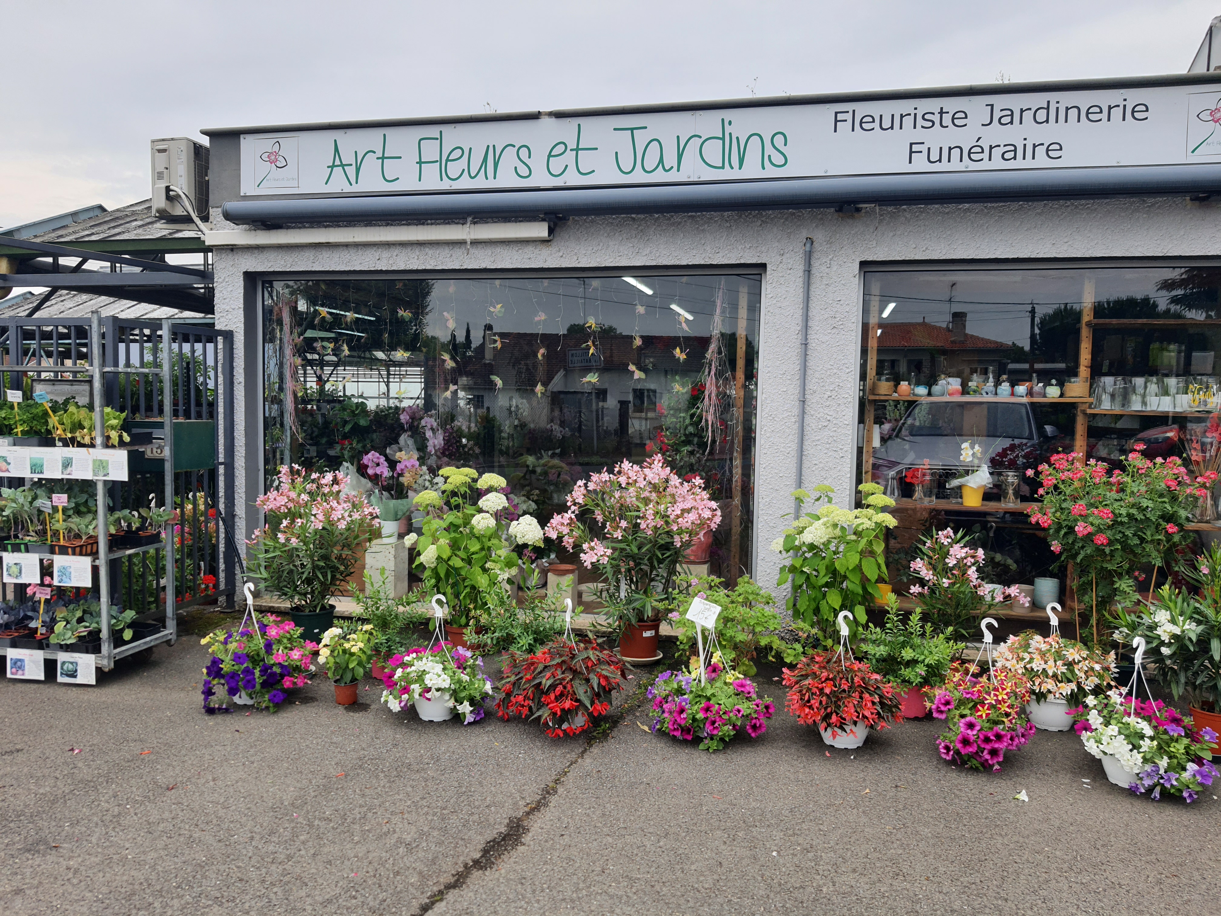 Vente (FDC + murs) commerce horticole, jardinerie et fleuriste cause retraite 

Bel ensemble composé d’un magasin, d’un parking, de serres verres, de tunnels plastiques et de terres agricoles pour une surface totale d’environ 5500 m².
Entreprise centenaire avec bonne rentabilité, pérenne, un bon CA stable et une clientèle fidèle !

Nous avons développé notre offre et nos services avec la création de la boutique de fleurs et la vente de légumes d’été en direct. Cela nous a permis de d’avoir une activité rentable tout au long de l’année. 

Fleurs coupées et compositions florales pour tous les évènements (mariage, deuil), plants de fleurs, plants de légumes et aromatiques, pépinières et arbustes, plantes d’intérieur, terreau et légumes prêt à manger. Notre diversité fait la force de notre commence !

Nous n’affichons pas de chiffres et de rentabilité volontairement, nous remettrons l’ensemble de ces éléments à la suite d’une première prise de contact.

Contactez-nous pour plus de renseignements et n’hésitez pas à venir voir notre affaire !

Les informations sur les risques auxquels ce bien est exposé sont disponibles sur le site Géorisques : www.georisques.gouv.fr.

Prix de vente : 460 000 €
Précision sur le prix de vente : Fonds de commerce + Murs
Prix de vente des murs : 240 000 €