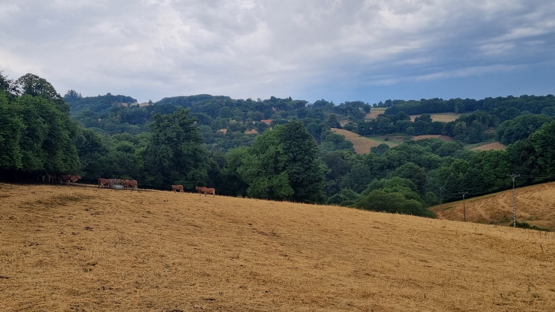 Bar-restaurant avec chambre d’hôtes à reprendre en gérance dans la Creuse (23), entièrement rénové, clé en main avec licence IV. Ouverture prévue avril 2027.

Description du bien :

La commune (350 habitants) est propriétaire d’un bar-restaurant, avec chambre d’hôtes, en cours de rénovation, qui sera le dernier commerce permanent de la commune.

Elle recherche un gérant ou un couple de gérants, pour une offre mixte de menus ouvriers et de cuisine traditionnelle plus gastronomique, en vue d’une ouverture en avril 2027. La location inclut la licence IV.

Au rez-de-chaussée, restaurant de plain-pied, avec accès PMR, sur 135 m² au total, avec cuisine équipée et matériel neuf opérationnel, salle de bar-restaurant 44 couverts. Terrasse extérieure de 35 m² en complément.

À l’étage, sur 60 m², 1 chambre d’hôtes meublée avec accès distinct du restaurant. Sur les 2 niveaux, sur 85 m², un logement privatif T4 non meublé, pour le ou les gérants, l’accès étant distinct du restaurant et de la chambre d’hôtes.

Dépendance (ancienne forge non rénovée) comprise dans la location. 
Parking 10 places avec place PMR.

Surface du bien :

Restaurant de plain-pied 135 m² (accès PMR, cuisine équipée neuve, 44 couverts), terrasse 35 m², chambre d'hôtes 60 m² à l'étage, logement privatif T4 85 m². Terrain 785 m², locaux 1 420 m².

Localisation :

Situé à l'ouest du département de la Creuse, à quelques minutes de l'axe routier Clermont-Ferrand/Limoges, limitrophe de la Haute-Vienne. 

Dans l'aire résidentielle de Limoges (35 min) avec gare et aéroport, à 15 min de Saint-Léonard-de-Noblat, à 20 min de Bourganeuf, à 50 min de Guéret et du lac de Vassivière.

Conditions d'acquisition :

Location uniquement : bail précaire de 2 ans pour débuter, puis évolution vers un bail commercial. Loyer de 800 € par mois hors charges pour l'ensemble.

Caractéristiques / Atouts :

- Belle opportunité pour une première installation ou un nouveau projet de vie
- Réhabilitation intégrale et éco-responsable, mise aux normes (ERP, accessibilité, thermique, assainissement), entièrement clé en main avec matériel d'exploitation
- Terrain, bonne visibilité et facilités de stationnement
- Renommée : chemin de Saint-Jacques et démarches en cours pour intégrer le réseau européen des Centres Culturels Saint-Martin
- Proximité de Limoges, capitale de la Porcelaine, avec aéroport et gare à 30 min
- Proximité de Saint-Léonard-de-Noblat et des Monts d'Ambazac en Haute-Vienne
- À moins de 10 min de l'axe Limoges-Clermont-Ferrand
- Exonérations fiscales France Ruralité Revitalisation