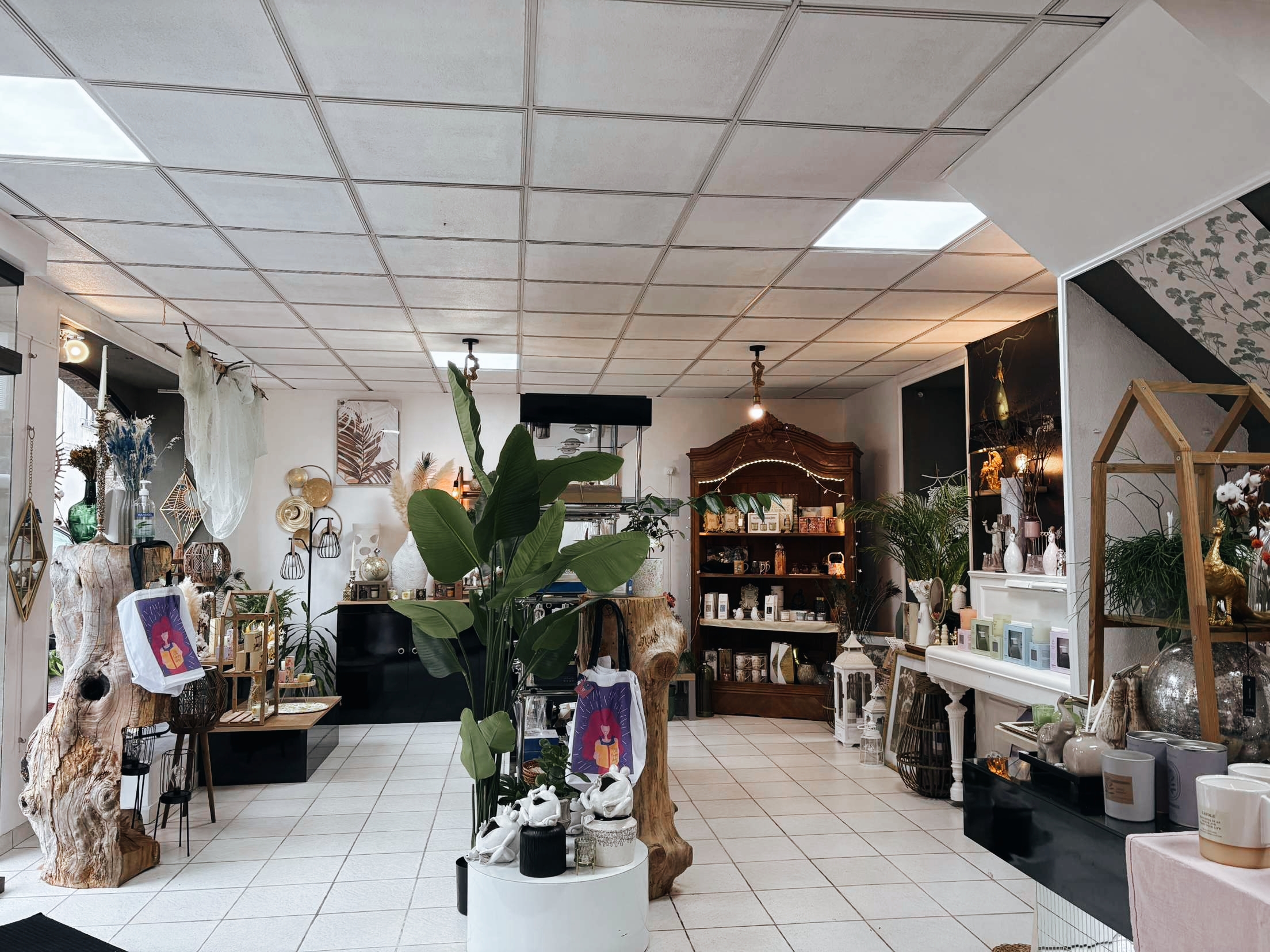 Fonds de commerce fleuriste