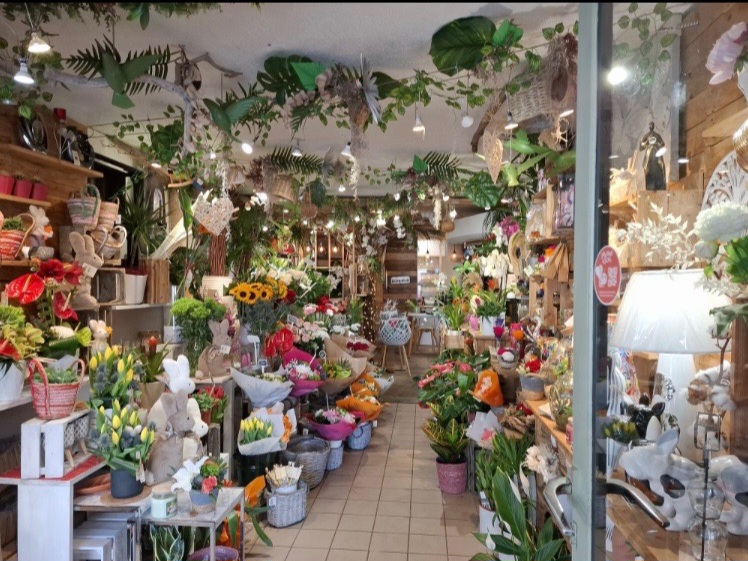 La Ville de Chassieu lance un appel à projet pour l'installation d'un fleuriste en centre-ville. 
Chassieu commune de près de 11 500 habitants située à l'est de la Métropole de Lyon dispose d'un tissu économique et commercial varié. La Ville attache une importance particulière au développement de commerces de proximité qualitatifs  et à la diversification, de l'offre pour répondre aux besoins des habitants. 

le local est situé au 24 rue de la république en plein centre-ville à proximité immédiate de commerces, d'un Ephad et de la résidence séniors. Il offre une surface d'environ 41m2 en rez-de-chaussée, complétée par une terrasse de 10m2 sur domaine privé. Le local est équipé et accessible ( climatisation, sanitaires, accès PMR). Le loyer mensuel est de 1035 euros.  L'activité principale devra obligatoirement être celle de fleuriste. Elle peut être enrichie par une activité complémentaire innovante, telle que la vente de décoration, papeterie, livres ou concept store, afin de renforcer l'attractivité commerciale et la diversité de l'offre du centre-ville. 

Des visites du local sont possible dès maintenant sur rendez-vous auprès de Pierre VIGNAL, développeur économique de la Ville de Chassieu. Tel : 06 76 78 35 99. ou par mail à developpementeconomique@chassieu.fr .