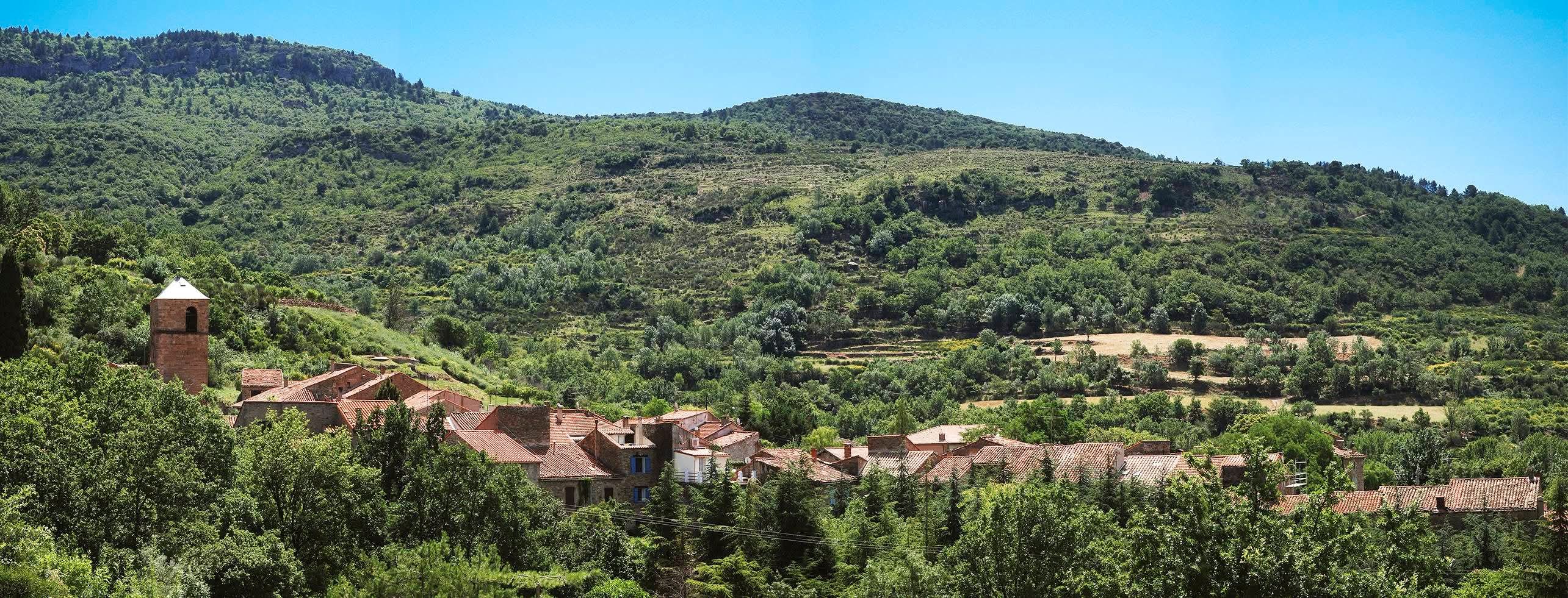 ☀️ 2 Gîtes indépendants en activité + Maison d'habitation ☀️

Située au cœur d’un charmant village de l’arrière-pays héraultais, à proximité de Saint-Guilhem-le-Désert, du Lac du Salagou et du Cirque de Navacelles, cette propriété rare combine un lieu de vie de qualité et une activité de gîtes déjà opérationnelle.

🏠 LES GÎTES 

La propriété comprend 2 gîtes indépendants en exploitation :

Gîte de l'Atelier – 4 personnes
48 m², entièrement neuf (2023), situé sous l’habitation principale

Gîte de la Cheminée – 4 personnes
42 m², entièrement neuf (2025)

👉 Activité déjà en place, avec :

Clientèle existante

Annonces actives

Calendrier 2026 déjà ouvert et partiellement réservé

Les gîtes bénéficient d’une forte attractivité touristique, liée à l’emplacement et aux nombreux sites majeurs aux alentours.

🏡 LA MAISON PRINCIPALE

Grande maison en pierre rénovée d’environ 120 m², offrant :

3 chambres, dont une de plus de 40 m²

Salon / cuisine de 40 m²

Grande terrasse plein sud de 25 m²

Climatisation réversible (moins de 5 ans)
Poêle à granulés 

👉 La maison est totalement indépendante des gîtes, garantissant calme et intimité au quotidien.

🌳 DÉPENDANCES & EXTÉRIEURS

Jardin de 260 m² avec arrivée d’eau

Garage de 25 m²

Terrasse de 25 m²

Cabanon de 5 m²

⭐ POURQUOI CE BIEN EST DIFFÉRENT

✔ Maison rénovée, prête à vivre
✔ Gîtes récents / neufs, exploitables immédiatement
✔ Revenus existants, sans phase de lancement
✔ Secteur touristique très recherché
✔ Idéal projet de changement de vie
✔ Gîtes vendus entièrement meublés 
✔ Possibilité de vendre la maison meublée également
 ✔ Maison et gîtes reliés à la fibre

➕ Possibilité d’acquérir en supplément une 3ᵉ maison mitoyenne du deuxième gîte (à rénover), offrant un potentiel de développement supplémentaire de l’activité.
➕ Ecole et commerces dans le village

📞 Informations complémentaires, chiffres et visites sur demande sérieuse

www.gite-saint-privat.fr