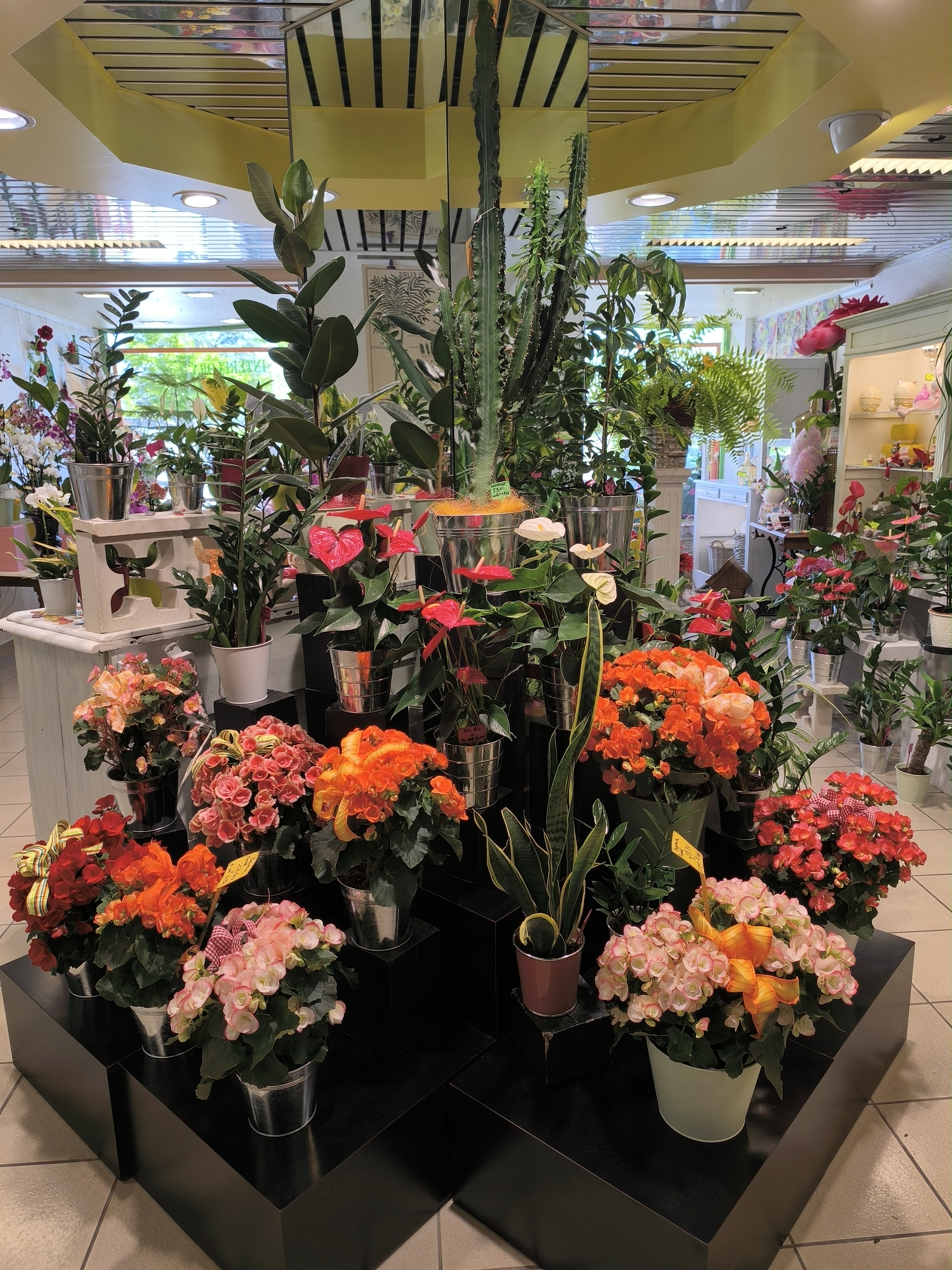 A VENDRE
 Fonds de commerce fleuriste(39 ans-interflora)
Dans le 37
Deuxième ville du département 

Idéalement situé en centre ville 
Zone bleue.place  commerçante (boulangerie,boucherie,maison presse,primeur, caviste, pharmacie,cordonnier...
Tram, église,hôtel de ville à 50 mètres du magasin.
et face à l'hôtel de police

Situé en périphérique  de Tours.

Bail neuf
Logement type 4
Très bonne rentabilité 
Belle qualité de vie. 
Congés 3 semaines
Sans employé 

Magasin 80m2
Atelier     50m2
Garage.   50m2(possibilité de rentrer un expert,trafic...)
Prix et informations sur demande 
Contactez -nous pour plus d'informations