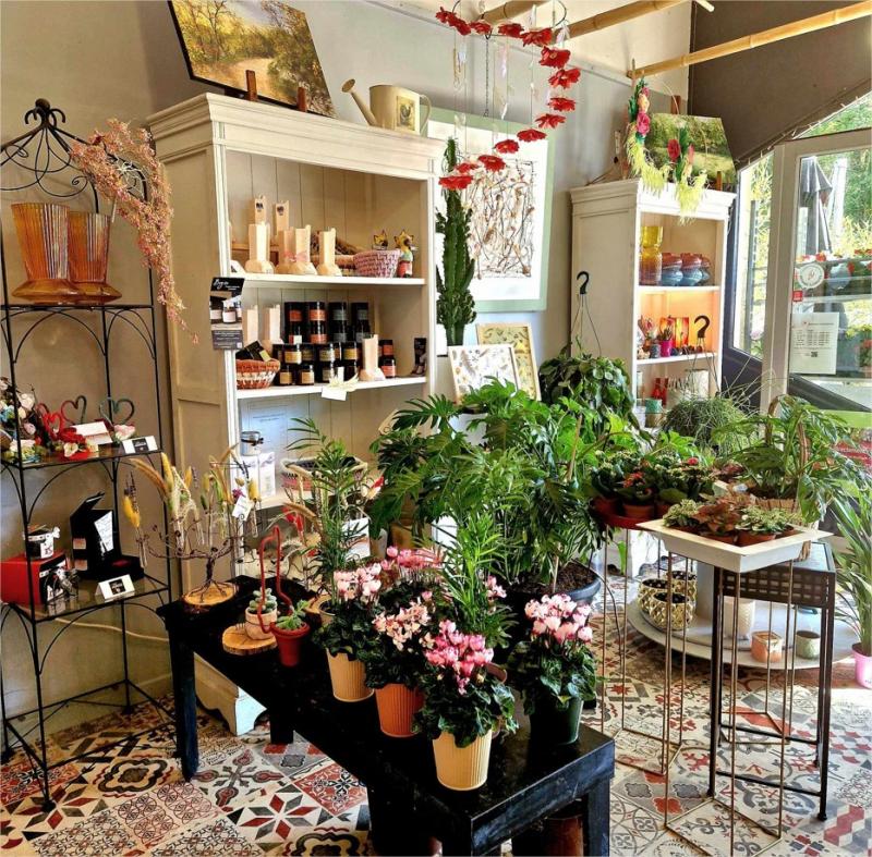 𝐒𝐮𝐢𝐭𝐞 𝐚̀ 𝐮𝐧 𝐝𝐞́𝐬𝐢𝐬𝐭𝐞𝐦𝐞𝐧𝐭 𝐩𝐨𝐮𝐫 𝐫𝐚𝐢𝐬𝐨𝐧 𝐟𝐚𝐦𝐢𝐥𝐢𝐚𝐥𝐞 𝐦𝐚 𝐛𝐨𝐮𝐭𝐢𝐪𝐮𝐞 𝐞𝐬𝐭 𝐭𝐨𝐮𝐣𝐨𝐮𝐫𝐬 𝐚̀ 𝐯𝐞𝐧𝐝𝐫𝐞. 𝐓𝐫𝐞̀𝐬 𝐛𝐨𝐧𝐧𝐞 𝐚𝐟𝐟𝐚𝐢𝐫𝐞!

MONTCUQ (46800)

Après des années de passion et de dévouement, je m'apprête à prendre ma retraite et à passer le flambeau de ma boutique de fleurs.

Cède fonds de commerce fleuriste, établi depuis 2006. Bénéficiant d'une excellente réputation, ce commerce bénéficie d'une clientèle fidèle et d'un emplacement stratégique sur un axe passant sur la commune de Montcuq (46)

Le local sur 60 m², avec une mezzanine de 20 m² offrant un espace supplémentaire pour l'exposition de produits ou le stockage est en parfait état et dispose d'un parking facilitant l'accès. Le matériel entretenu permet une reprise clé en main.

Activité fiabilisée qui assure un chiffre d’affaire stable depuis plusieurs années. L’exploitation est porté par la seule gérante.

Une opportunité idéale pour reprendre une entreprise saine, où vous pourrez exprimer votre savoir-faire et votre créativité.

Le fonds est cédé sans aucun contrat salarié en cours

Accompagnement possible par la cédante, par la Chambre des Commerces et de L'Industrie et par la Chambre des Métiers et de l'Artisanat.

Amis(es) fleuristes, si vous vous voulez changer d'air, ouvrir une seconde boutique, vous êtes salariés (ées) et vous voulez voler de vos propres ailes, ma boutique est la vôtre.
Prix très intéressant à débattre
Pour plus de renseignements veuillez me contacter

Téléphone : 0565229641 ou 0685157976