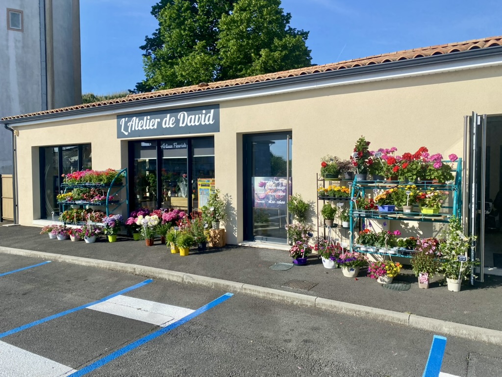 Belle affaire clé en main – Local récent – Parking – Grand espace extérieur
Cause nouveau projet, cède fonds de commerce de fleuriste idéalement situé à Archiac, en Charente-Maritime.
L’établissement est installé depuis mars 2022 dans un local commercial récent, moderne et fonctionnel, bénéficiant d’un emplacement visible et facilement accessible.
Le commerce comprend :
• Environ 75 m² de surface commerciale
• Grand espace extérieur privatif d’environ 85 m², idéal pour la vente de plantes et végétaux
• 4 places de stationnement privatives
• Grand parking public gratuit d’environ 30 places à proximité immédiate
• Local récent, sans travaux importants à prévoir
• Environnement commercial dynamique
• Situé à proximité immédiate d’une pharmacie et d’un bureau de tabac
L’activité bénéficie d’une clientèle locale fidélisée et d’un chiffre d’affaires proche de 100 000 €.

Fort potentiel de développement :
• Vente de plantes et végétaux extérieurs
• Décoration et aménagement végétal
• Mariages et événementiel
• Ateliers floraux
• Abonnements et livraisons
• Développement de la vente en ligne et des réseaux sociaux
L’espace extérieur constitue un véritable atout commercial et offre de nombreuses possibilités de développement.
Le repreneur bénéficie d’un outil de travail immédiatement exploitable dans des locaux récents et fonctionnels.
Conditions
Prix de cession du fonds : 39 000 €
Stock en supplément après inventaire.

Accompagnement possible lors de la reprise afin d’assurer une transition dans les meilleures conditions.

Dossier complet et informations financières communiqués après premier échange sérieux et engagement de confidentialité.

Belle opportunité pour professionnel du métier ou personne souhaitant développer une activité artisanale et commerciale dans un secteur dynamique.