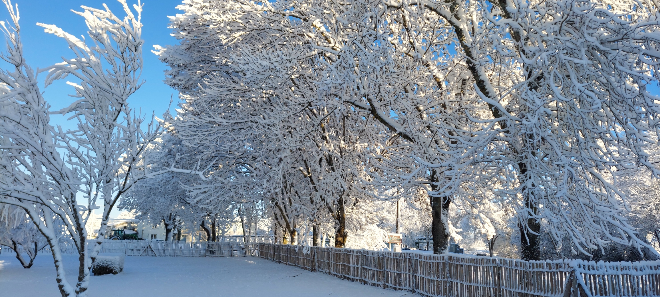 Restaurant Bar avec licence 4 situé sur port touristique sud Agglomération de Royan à forte notoriété.

Etablissement entièrement refait en 2025 avec garantie décennale sur les travaux de rénovation, matériel de professionnel neuf (four Rational, piano de cuisson, enceintes froides, ligne plonge…) également sous garantie.

1 salle de 50 couverts, 1 terrasse pergola de 70 couverts et 1 parc de 1000 m2 exploitable.

Parking privé de 400 m2. Etablissement aux normes PMR et d’hygiène.

Vendu avec maison d’habitation avec sortie indépendante de 90 m2 et terrain clos de 1000m2.

Prix du fonds 183.000 €, murs professionnels et habitation 450.000 €