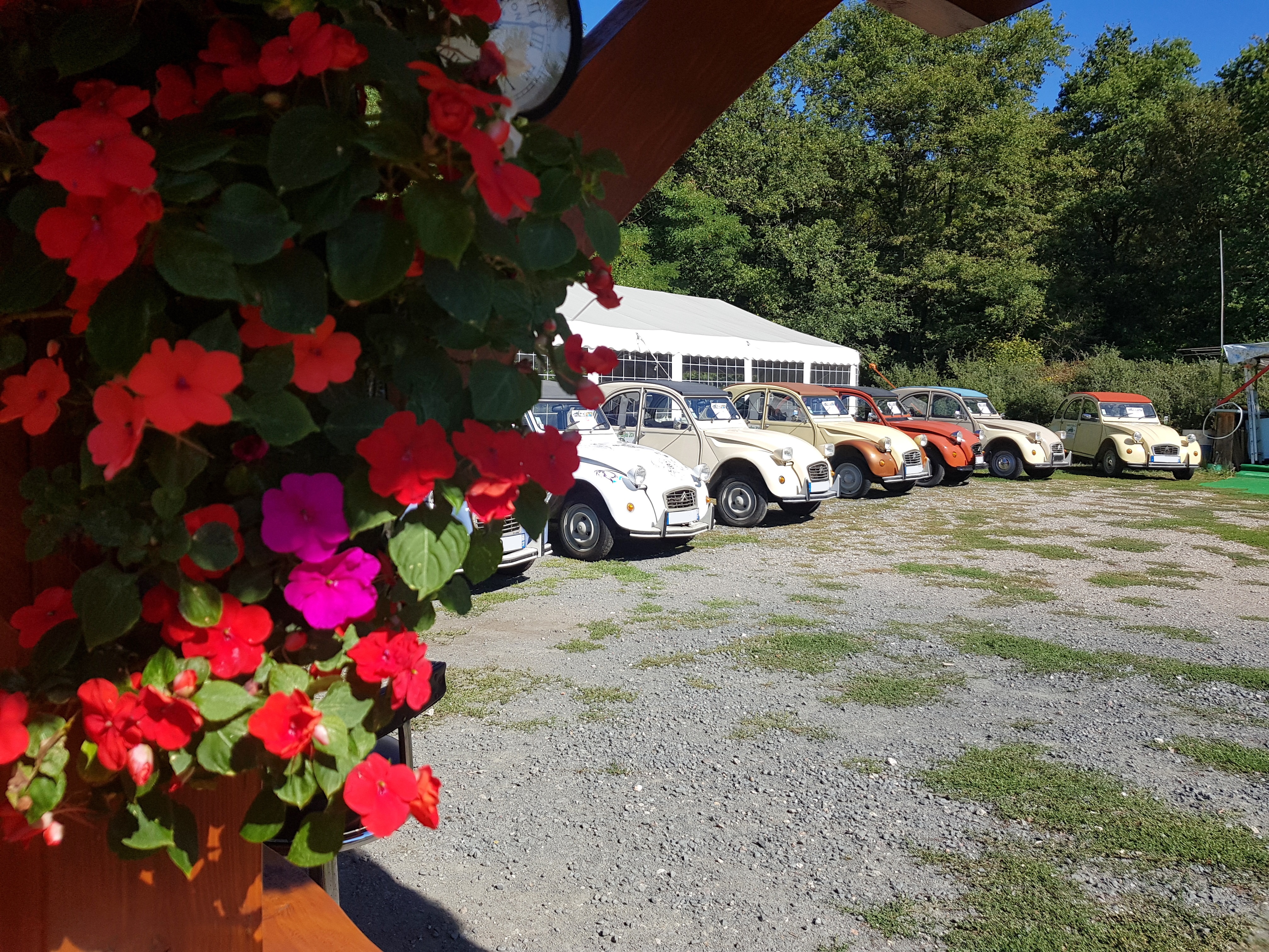 Située au cœur d'une région touristique, à 1 h de Paris, cette entreprise de plus de 15 ans spécialisée dans l'organisation sur-mesure de rallyes en 2CV Citroën, entreprise à fort potentiel de développement, bénéficie d'une excellente réputation.
L'originalité de cette entreprise s'appuie sur l'organisation, la coordination d'événements, de rallyes originaux, thématiques au volant de la mythique, indémodable et célèbre la 2CV Citroën, la plus populaire des décapotables française.
La clientèle est composée de particuliers (enterrement de vie de jeune fille, enterrement de vie de garçon, cousinade, réunions de familles, anniversaires, sorties entre amis ...), de sorties de CSE, et de sorties d'entreprises avec l'organisation de séminaires de A à Z, de team-buildings ...

POINTS FORTS
•	activité clé en main et immédiatement exploitable dans une région à fort potentiel à 1 h de Paris,
•	flotte de véhicules entretenus régulièrement,
•	nombreux partenaires locaux rigoureusement sélectionnés (hébergements, restaurant, traiteurs, sites de réception, sites touristiques, activités complémentaires ...)
•	rallyes questions variés, fonctionnels / exploitables de suite,
•	activité fédératrice pour petits et grands / transgénérationnelle,
•	clientèle existante (particuliers et entreprises),
•	entreprise pionnière des rallyes en 2CV en France à 1h de Paris,
•	accompagnement possible pour la reprise.

CE PRIX COMPREND
•	10  2CV, lot de pièces détachées avec véhicule complet
•	un nom commercial référencé auprès de diverses agences nationales: de voyages, réceptives et de communication,
•	un site internet référencé,
•	un listing clientèle d'entreprises qui nous ont fait confiance et qui ont été satisfaits de nos prestations,
•	des principes de chasses au trésor, jeux de piste, jeux thématiques, rallyes questions en français, anglais, espagnol,
•	des devis et réservations validés pour l'année en cours, magnétiques de véhicules,
•	road-books et énigmes clés en main, principes de chasses au trésor,
•	divers matériel d'animation.