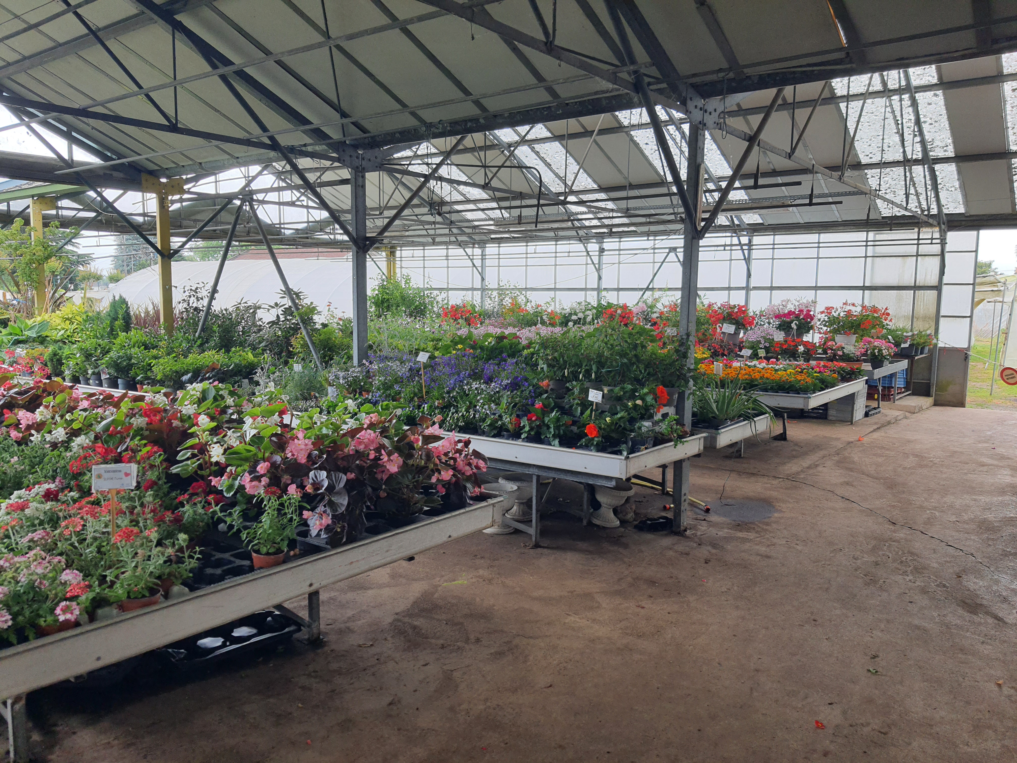 Vente (FDC + murs) commerce horticole, jardinerie et fleuriste cause retraite 

Bel ensemble composé d’un magasin, d’un parking, de serres verres, de tunnels plastiques et de terres agricoles pour une surface totale d’environ 5500 m².
Entreprise centenaire avec bonne rentabilité, pérenne, un bon CA stable et une clientèle fidèle !

Nous avons développé notre offre et nos services avec la création de la boutique de fleurs et la vente de légumes d’été en direct. Cela nous a permis de d’avoir une activité rentable tout au long de l’année. 

Fleurs coupées et compositions florales pour tous les évènements (mariage, deuil), plants de fleurs, plants de légumes et aromatiques, pépinières et arbustes, plantes d’intérieur, terreau et légumes prêt à manger. Notre diversité fait la force de notre commence !

Nous n’affichons pas de chiffres et de rentabilité volontairement, nous remettrons l’ensemble de ces éléments à la suite d’une première prise de contact.

Contactez-nous pour plus de renseignements et n’hésitez pas à venir voir notre affaire !

Les informations sur les risques auxquels ce bien est exposé sont disponibles sur le site Géorisques : www.georisques.gouv.fr.

Prix de vente : 460 000 €
Précision sur le prix de vente : Fonds de commerce + Murs
Prix de vente des murs : 240 000 €