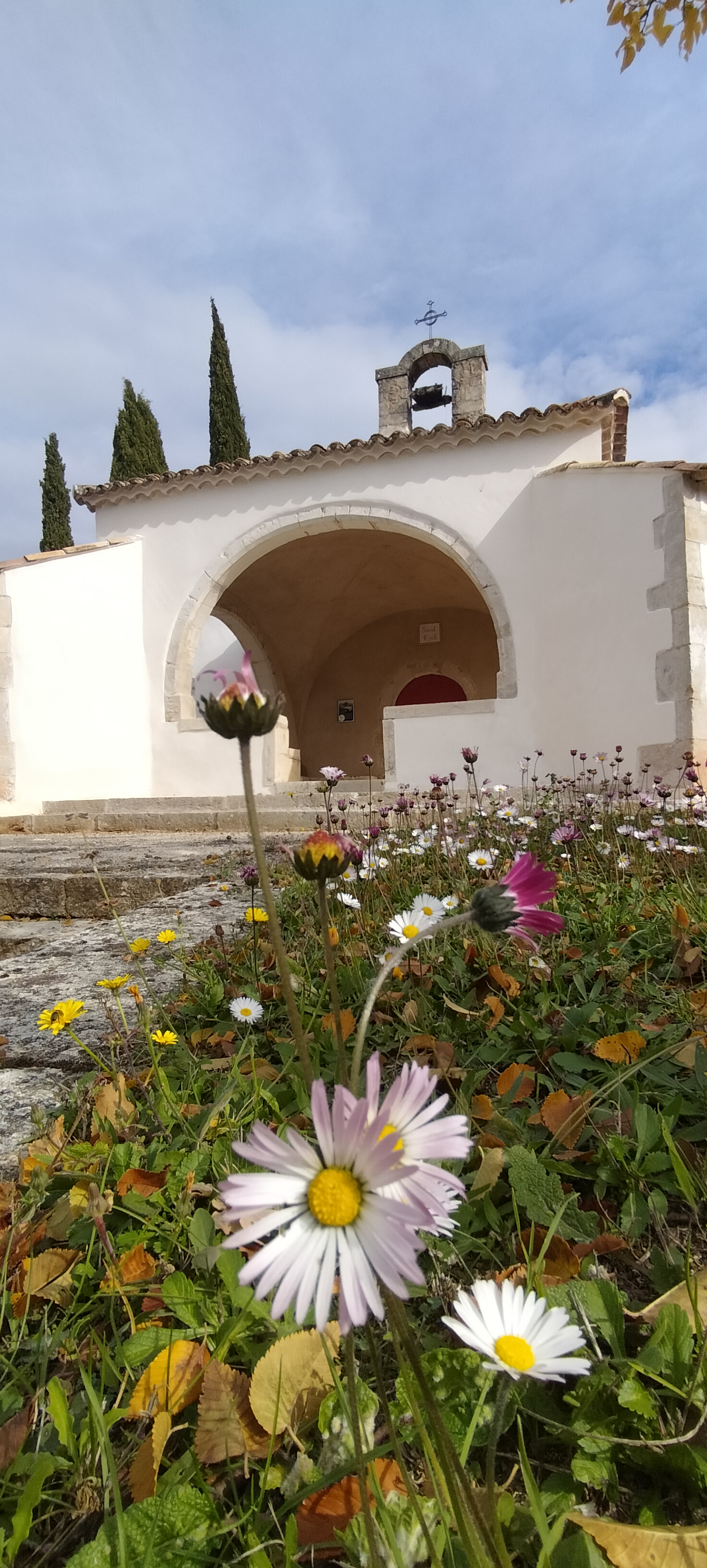 Notre commune recherche son 2ème médecin généraliste salarié H/F.
Titulaire du Diplôme d’Etat de docteur en Médecine et titulaire du diplôme
Inscription au tableau de l’Ordre des Médecins et au Répertoire Partagé des Professionnels de Santé (RPPS) obligatoire.
Notre commune de 1650 habitants, bénéficie de tous les services et commerces de proximité, un groupe scolaire, et offre un cadre de vie dynamique et agréable pour un professionnel de santé.
En tant que médecin généraliste, vous profiterez d’un emploi du temps aménagé avec un minimum de 3 jours de travail , dans un établissement moderne et bien équipé. Vous rejoindrez une équipe dynamique et motivée, dans une structure qui favorise un partage de connaissances et un esprit d'équipe solide. 

De plus, vous profiterez de formations totalement prises en charge par l'établissement, afin d'augmenter l'offre de soins aux patients.

c'est un poste à temps partiel rapidement évolutif à temps complet

Le descriptif du poste :
- Statut salarié contractuel sur 3 ans, temps plein ou partiel
- Rémunération attractive
- 3 jours minimum par semaine
- Matériel neuf et complet
- Structure pluridisciplinaire
- Équipe administrative