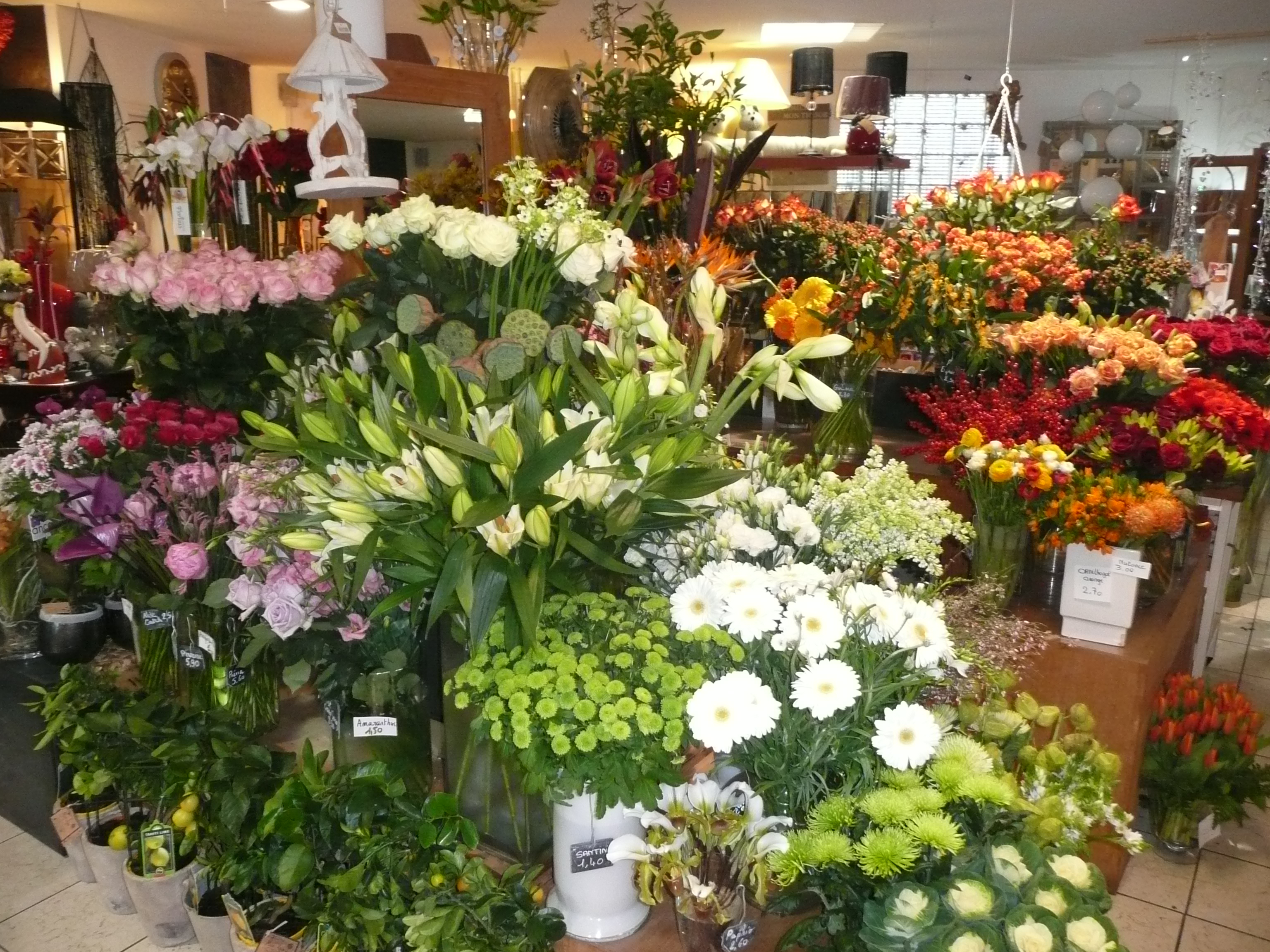 Murs + Fonds de commerce  -139 M²- boutique de fleurs et décoration d'intérieur à vendre.

A saisir ! Situé au cœur d'une commune en pleine expansion, ce commerce bénéficie d'une clientèle fidèle et de passage (car situé sur le point focal circulatoire de la ville), avec une clientèle de tous âges (18-80 ans), idéale pour une activité tournée vers l'avenir.
La boutique, spécialisée dans la vente de fleurs, compositions florales et décoration d'intérieur, jouit d'une belle notoriété locale (26 ans de vie) et d'un chiffre d'affaires régulier. L'emplacement est stratégique et offre une excellente visibilité avec un parking privé de 11 véhicules, accès direct pistes cyclables, bus.
L'affaire est clé en main, avec tout le matériel nécessaire à la poursuite de l'activité (matériel et mobilier régulièrement mis aux gouts du jour. 
Potentiel de développement important grâce à la croissance de la commune et aux nouvelles attentes d'une clientèle dynamique.
ATOUTS :
- Clientèle jeune et en constante progression
- activité diversifiée : fleurs naturelles, séchées et artificielles, déco d'intérieur, bougies, coins gourmets et sélections de vins "Maxim's of Paris"
- Site E-boutique actualisé : www.fleur-azur.net
- Commune en fort développement
- Départ en retraite (fin 2026), concurrence : juste 1 autre fleuriste
Opportunité idéale pour passionnés(es)du végétal et de la décoration ou pour un commerçant investisseur.