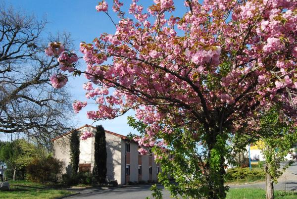 Hôtel Bar Restaurant murs et fond avec maison de 100 m2