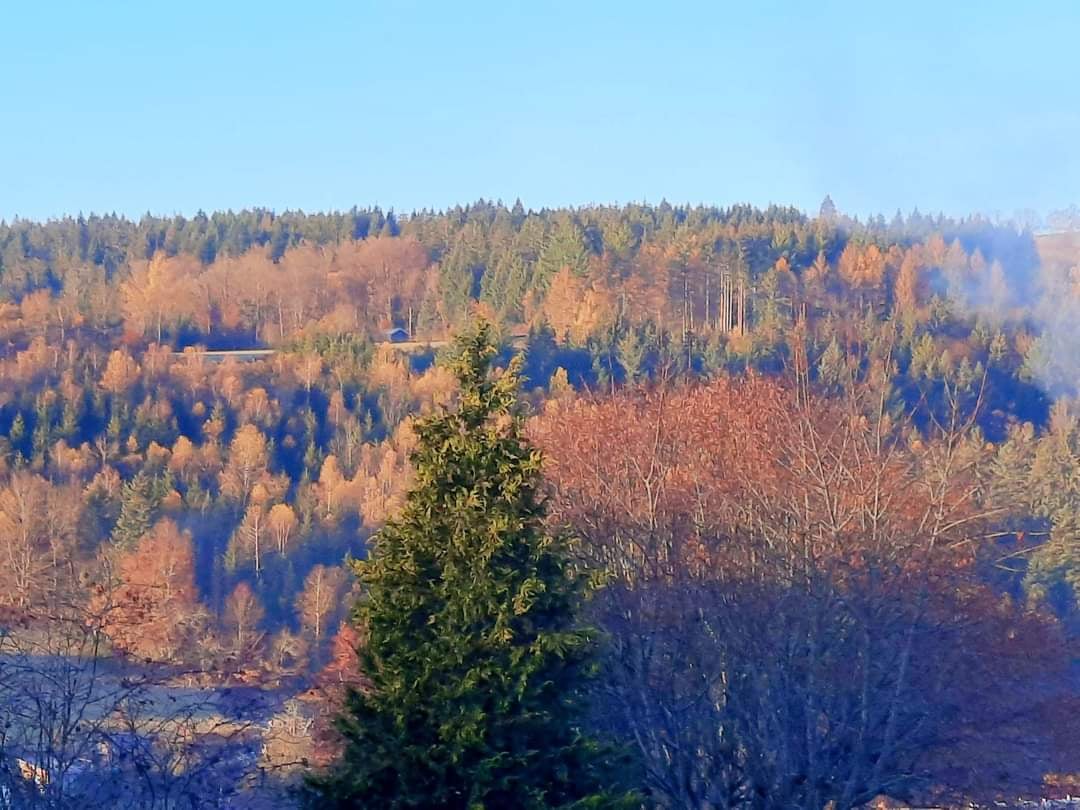 Vosges à quelques kilomètres de GERARDMER Fonds de commerce de Bar, Restaurant et Brasserie situé au cœur du village renommé de Le Tholy.

Ce lieu plein de charme est une véritable pépite pour un couple d'entreupreneurs en quête d'une nouvelle aventure professionnelle !

Ce que vous trouverez ici :
Une salle accueillante de 28 couverts, modulable selon vos besoins, et une salle de bar de 14 places, cuisine, réserve, etc...
Une agréable terrasse ensoleillée de 24 places avec vue panoramique sur la vallée.

L'établissement à fait ses preuves, bénéficiant d'une excellente réputation grâce à l'utilisation de produits locaux de qualité : fromages, viandes, charcuteries, etc.

En plus de ce fonds de commerce, vous disposez d'un logement de 3 pièces attenant, vous permettant de profiter pleinement de la vie du village.

Services appréciables : Bureau de poste, école maternelle, primaire et collège, commerces et services facilitent la vie quotidienne.

Potentiel de développement : Avec une population de 1536 habitants et la clientèle touristique se rendant soit sur GERARDMER, soit aux cascades de TENDON toutes proches vous disposez d'un véritable potentiel pour développer vos propres services pour attirer une clientèle encore plus large.

Une opportunité unique : Exploité depuis 4 ans par un couple de passionné, la vente est motivée par des raisons de santé.