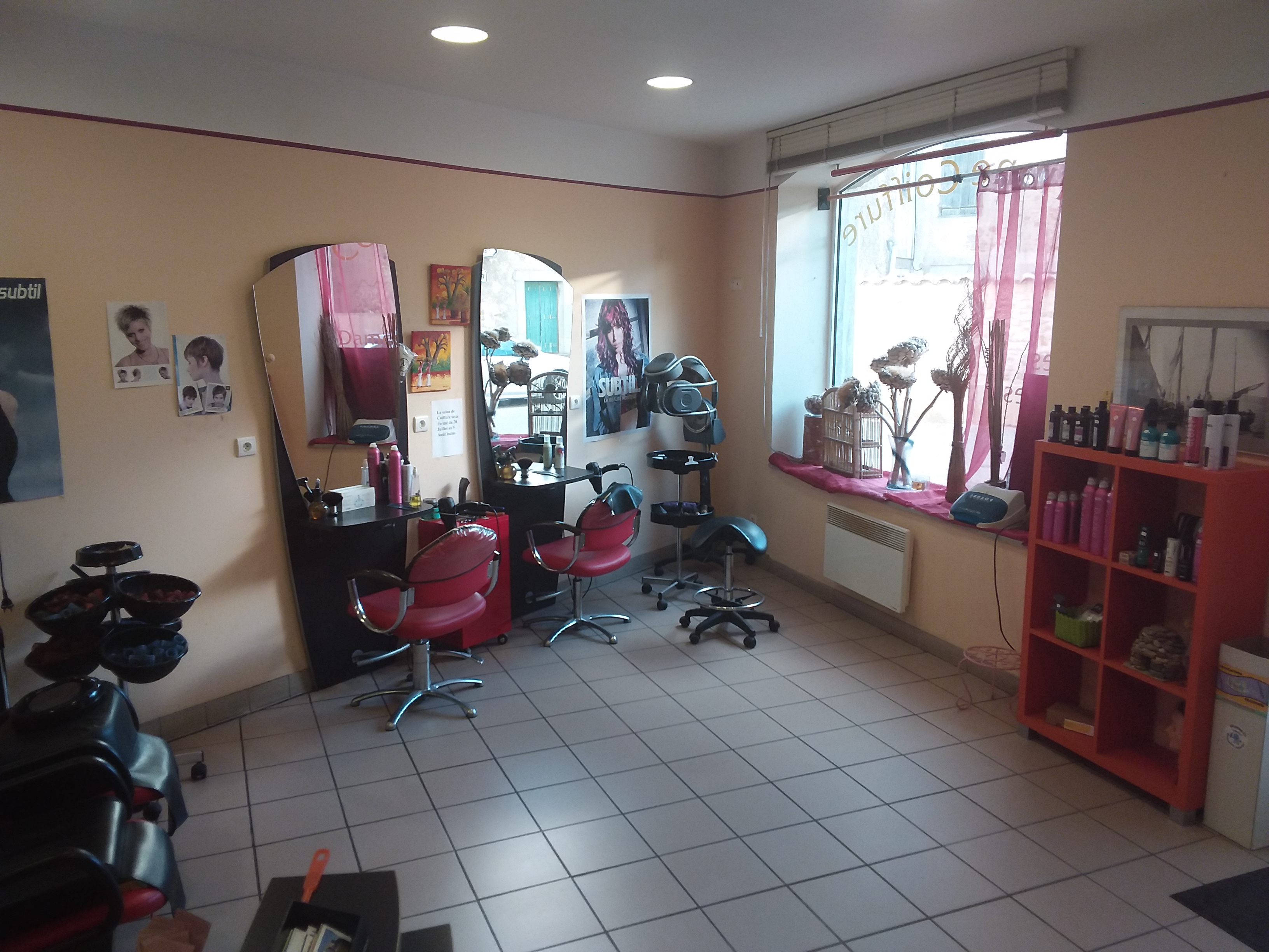 Vends pour cause de retraite,  salon de coiffure mixte créé il y a 18 ans dans un village du Minervois de 600 habitants avec école ,épicerie et de nombreux gîtes  entre Carcassonne et Narbonne au pieds de la montagne noire. Clientèle fidèle .
Local municipal sur 2 niveaux avec loyer mensuel de 110€