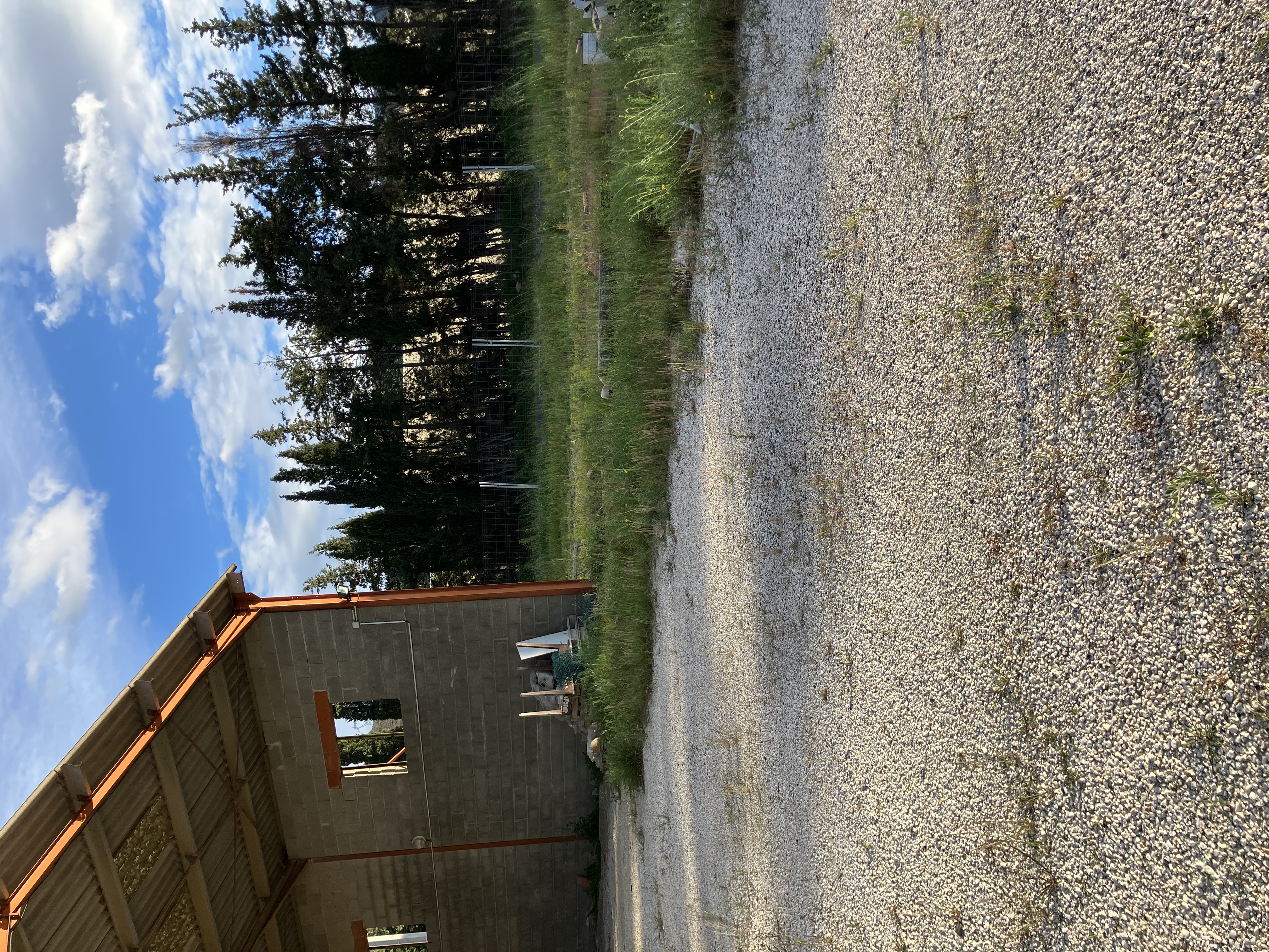 Suite à retraite , vendons bâtiment de 200 M2 et entrepôt non couvert de 7200 M2 pour activité artisanale , commerciale ou industrielle , situé idéalement en bordure de route . Plusieurs possibilités , situé à 20 Kms de Perpignan.