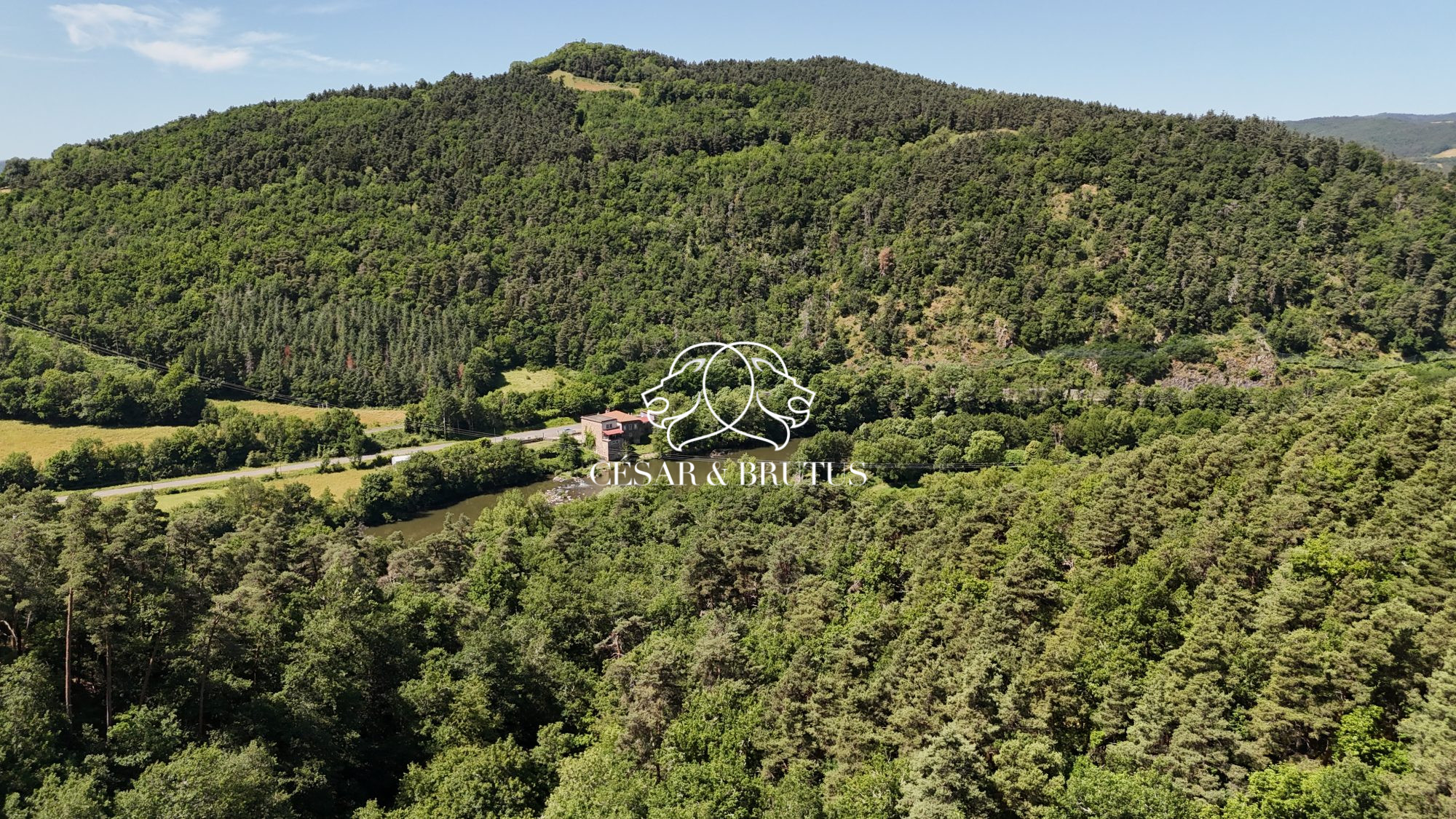 SAINT VINCENT 43800 HAUTE LOIRE AUVERGNE VEND moulin de caractère 460m2 habitables. Gite de groupe classé 3 étoiles bord de Loire Activité touristique clé en main  Maison d'habitation sauna spa Dépendances terrain de 7000m2 Nature préservée DPE: D 
au cœur d'un environnement naturel exceptionnel en bordure de Loire, découvrez cet ancien moulin de caractère offrant un cadre de vie rare et un potentiel touristique immédiatement exploitable.
Cette propriété unique développe environ 460 m² habitables et se compose d'une maison d'habitation indépendante ainsi que d'un gîte de charme classé 3 étoiles bénéficiant d'une excellente réputation auprès de sa clientèle. Plusieurs annexes et dépendances viennent compléter l'ensemble et offrent de nombreuses possibilités d'évolution ou d'aménagement.
Dès votre arrivée, le charme opère. Les façades en pierre, les volumes généreux, le chant de la rivière et les vues dégagées sur les collines environnantes créent une atmosphère particulièrement apaisante.

La maison principale (T5) permet de profiter pleinement de ce cadre privilégié tout en conservant une parfaite indépendance vis-à-vis de l'activité touristique. Elle bénéficie notamment d'une magnifique cave voûtée pleine de caractère, véritable témoin de l'histoire du lieu et offrant un charme authentique supplémentaire à cette propriété d'exception.

L'atout majeur de cette propriété réside également dans son activité touristique existante, offrant aux futurs propriétaires la possibilité de bénéficier d'un revenu complémentaire dès l'acquisition.
Le gîte de groupe (quinzaine de couchages), vendu entièrement meublé et exploité avec succès depuis plusieurs années, accueille ses visiteurs dans un environnement chaleureux et confortable. Véritable invitation à la déconnexion, il offre de beaux espaces de vie, plusieurs chambres ainsi qu'une superbe terrasse couverte surplombant directement la Loire. Un cadre privilégié où les repas, les moments de détente et les soirées entre amis prennent une dimension particulière, au rythme de l'eau et de la nature environnante.

Les vacanciers profitent notamment :
- D'une grande pièce de vie conviviale avec cuisine ouverte
- D'un espace détente avec sauna et spa
- D'une salle de jeux
- D'un accès privilégié à la nature environnante

À l'extérieur, la propriété s'étend sur près de 6 888 m² et bénéficie d'un emplacement exceptionnel au bord de la Loire.

Les amateurs de pêche, de randonnée, de VTT, de canoë ou simplement de tranquillité trouveront ici un terrain de jeu grandeur nature.

Une ancienne bergerie d'environ 110 m² ainsi que plusieurs espaces annexes viennent compléter l'ensemble et laissent entrevoir de nombreuses possibilités d'aménagement ou de développement.

La propriété bénéficie également d'un droit d'eau, élément aujourd'hui rare et particulièrement recherché. Sous réserve des autorisations administratives nécessaires, d'une étude de faisabilité et d'éventuels travaux d'aménagement, ce droit pourrait offrir des perspectives de valorisation complémentaires, notamment dans le cadre d'un projet de production d'électricité. Une opportunité supplémentaire qui vient renforcer le caractère unique et le potentiel de cette propriété.

Que vous soyez à la recherche :
- D'un changement de vie,
- D'un projet touristique clé en main,
- D'une résidence principale avec activité professionnelle intégrée,
- Ou simplement d'un lieu d'exception en bord de Loire,
ce moulin saura vous séduire par son authenticité, son environnement et son potentiel.
www.moulindelaribeyre.fr