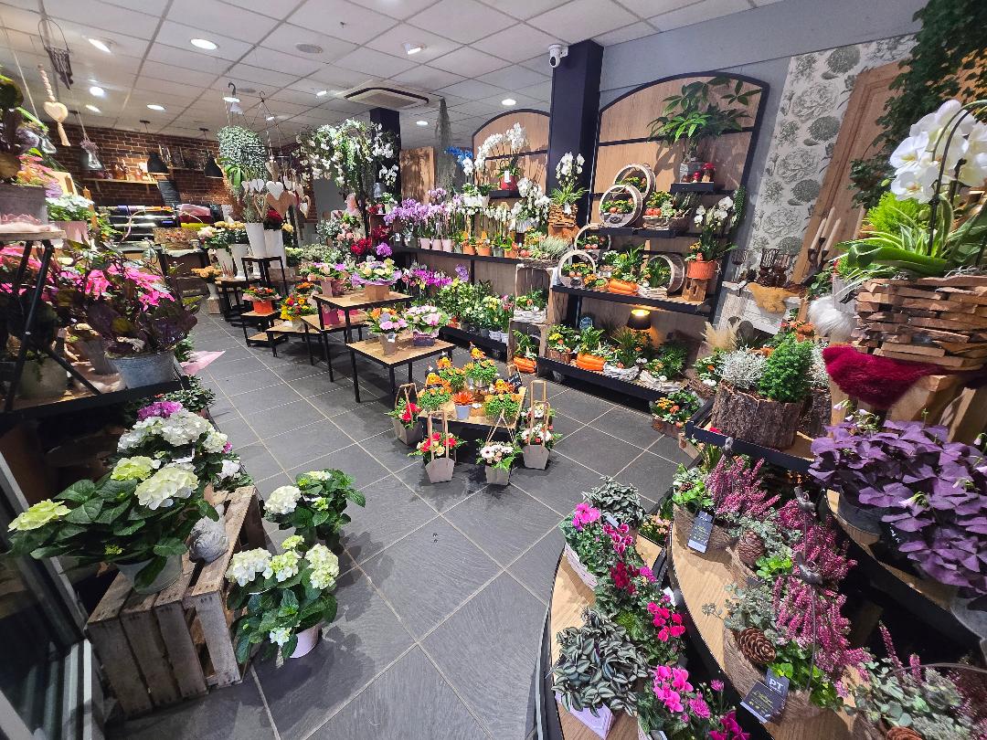 Fonds de commerce Fleuriste – Emplacement premium aux portes de Bernay

À proximité immédiate de Bernay, sur un axe très passant de Menneval, ce fonds de commerce de fleuriste bénéficie d’une visibilité remarquable et d’une zone de chalandise dynamique.

Implantée depuis 18 ans, cette affaire reconnue localement s’appuie sur une activité structurée, régulière et rentable, avec une clientèle fidèle et diversifiée. Elle constitue une opportunité idéale pour un professionnel souhaitant reprendre une exploitation immédiatement opérationnelle.

L’espace commercial se compose d’une boutique d’environ 45 m², climatisée, lumineuse et fonctionnelle, équipée d’une porte d’entrée automatique facilitant l’accueil de la clientèle. Elle est complétée par une arrière-boutique de 25 m², un bureau, des sanitaires ainsi qu’une réserve à l’étage. Un espace de stockage extérieur et un parking privé viennent renforcer le confort d’exploitation au quotidien.

La vitrine de 5,80 mètres offre une excellente mise en valeur des produits et capte efficacement le flux de passage. Elle est complétée par un distributeur automatique de bouquets en libre-service, accessible 24h/24, équipé de 15 emplacements, constituant un véritable levier de développement et de chiffre d’affaires complémentaire.

L’exploitation est optimisée grâce à un logiciel de gestion et de préparation des commandes développé par le gérant actuel, permettant une organisation fluide de l’activité et un pilotage efficace de la production au quotidien.

L’entreprise repose également sur des partenariats solides avec des pompes funèbres locales, assurant une activité régulière et sécurisée sur un segment clé.

L’équipe en place, composée de salariés expérimentés, permet une continuité immédiate de l’exploitation et facilite la reprise dans des conditions optimales.

Les murs sont proposés à la location, avec un loyer annuel de 17 108 € TTC, soit environ 1 426 € TTC mensuels.

Cette affaire se distingue par son positionnement stratégique, la qualité de son implantation et ses axes de développement encore exploitables.

Dossier complet et éléments financiers disponibles sur demande.
Photos et vidéos complémentaires sur demande.