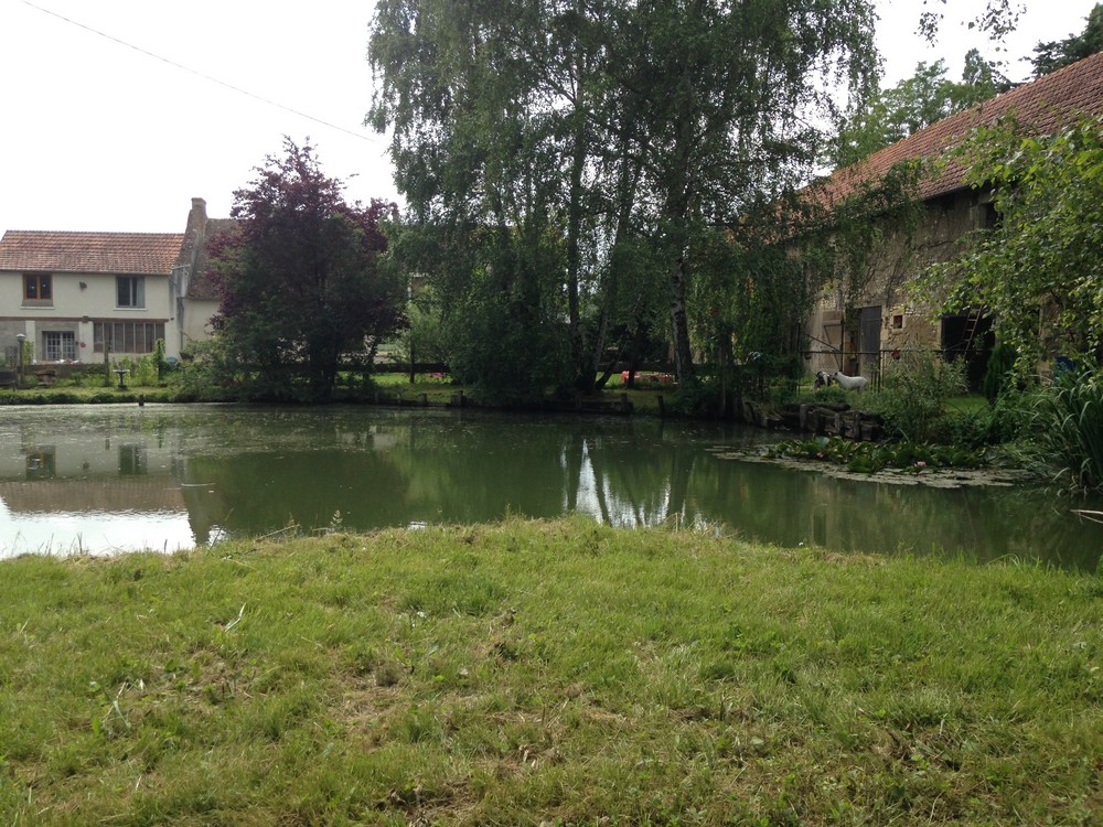 A vendre très jolie ferme pédagogique « La Fermette des Tannières », très bien notée sur google, sur la petite commune de Herry 18140 et élevage canin / pension canine avec autorisation de 50 chiens.

Une maison d'habitation spacieuse à rénover entièrement, une partie de cette toiture  est à refaire, mais pas la totalité, ( le baccacier avait déjà été acheté )

Le tout avec énormément de possibilités et de potentiel sur plein pied de 228 m² avec grande terrasse tout du long et un étage, avec 8 pièces, aménagement total des combles possibles, pour agrandir encore plus si souhaité, environ 430 m² possible !

C'est habitable de suite et la totalité des combles est isolé, un potentiel de folie pour des chambres d'hôtes, gites, événementiel.

La maison est équipé d'un Poêle à bois 14 kW avec environ 15 stères d'avance et pompe à chaleur, avec 6 splits possibilité d'en rajouter 4 sur l'installation.

Sur fausse septique aux normes.

Il y a également une grande et belle longère de charme, très beau volume de 320 m² au sol avec combles aménageables également selon loi carrez, sur la même surface, +1.80 m de hauteur et la toiture de la grande longère est seine, juste à remanier un peu quelques tuiles.

Un terrain d'un hectares 100 et possibilité d'un second terrain très proche sur 8080 m² ( 5000 € ) et la possibilité d’acheter un 3 éme terrain de 5200 m² en plus, viabilisé avec compteur électrique et  2 points d'eau, avec des chappes déjà présentes et différentes essences de plantes anciennes pépinière, à 1 km, idéal pour la pâture des animaux.. à 14900 €.

Sur la photo de vue aérienne, on peut voir 16 parcs d'environ +100 m², 16 parcs 50 m², 15 parcs de 20 m² a 35 m² environ. Et une dizaine des petits parcs qui pour l'instant sont des poulaillers pour la ferme pédagogique 
Il y a 3 pièces de chatteries intérieures dans la maison de 16m² au total Et 6 chatteries extérieurs ( 2 à remanier pour la volière ancienne )

Les bâtiments d’élevage ont un énorme potentiel dans la longère, il y a 6 boxs. 
Une nurserie de 8 box, une grande bergerie et 2 pièces dont l'une aménagée en espace d’accueil élevage ou pour les anniversaires. Et une petite pièce pour faire naître mes poussins 
Un beau chalet de 21 m² récent pour l’accueil de la ferme pédagogique, une réserve et une cuisine aménagée. 

La ferme pédagogique a encore un très gros potentiel à exploiter loin du maximum de ses capacités. 
Toutes les installations sont fonctionnelles immédiatement !
Nous avons accueilli cette année des anniversaires,
- des jeunes soigneurs pour lesquelles les 8 places par dates ont été prise d'assaut j'ai du en ouvrir 12 finalement pour chacune, 
- un IME en contrat à l'année  pour tous les jeudis matins reconduit depuis  3 ans et pour l'année prochaine avec 3 jeunes,  
- régulièrement le Relais petite enfance, 
- des groupes d'EPHAD régulièrement
- des groupes de centres spécialisés pour enfants ou adultes handicapés
- Et  plus d'une quinzaine de groupes scolaires sur le mois de  juin pour les voyages de fin d'année
tout cela sans  publicité !  
De nombreuses activités en relation avec les animaux et la médiation animale peuvent être développées.... 
De même que des activités de locations saisonnières ou de gîtes les bâtiments spacieux le permettent !

 La propriété a beaucoup de charme même s'il y a des travaux à prévoir, elle est au bout du chemin pour plus de tranquillité dans un bel écrin de campagne au calme ...

 Le petit bourg de Herry est très agréable, il y a toutes les commodités en plus d'avoir son école maternelle et primaire, boulangerie, poste et épicerie / tabac.... Proches de grandes villes comme Bourges, Nevers, Cosne sur Loire, La charité sur Loire, Pouilly sur Loire, et nous accueillons des visiteurs venant de loin comme Châteauroux, Orléans, Paris, et bien sur toutes les petites villes dans un rayon de + de 50 km...
 
Actuellement en activité, il y a mes chiens et les animaux de la ferme, il me faut un peu de temps pour replacer le cheptel canin et animaux de ferme  dont je vais malheureusement devoir me séparer. 

Les animaux de la ferme (nombreuses variétés sélectionnées et animaux adorables, tout à fait adaptés à la ferme pédagogique et à la médiation animale, valeurs 29 000 €) peuvent être vendus avec un prix attractif, ainsi que tout le matériel si les personnes sont intéressées par le tout. ( dans ce cas me joindre pour évaluer vos besoins et le matériel souhaité et budget) 
 
🐶 🐱 🐭 🐹 🐰 🐷 🐸  🐔  🐦 🐤 🐣 🐥 🦆 🦇 🐗   🐝 🐛 🦋 🐌 🐞 🐜 🦗 🐍 🦎🐃 🐂  🐎 🐖 🐏 🐑 🐐 🦌 🐓 🦃 🕊 🐇 🦔   🌳  🍀 🌷 🌹  🌺 🌸 🌼 🌻

Je peux aussi vendre sans les animaux, ce sera juste un petit peu plus long pour rentrer dans les murs car il me faudra le temps des placements car je veux de belles familles pour tout ce petit monde. 

Si je vends avec les animaux ce sera à une personne très motivée pour en prendre soin, il est possible d’envisager un accompagnement les premiers mois. 

Vous pouvez jeter un petit coup d'œil sur Google aux avis de la fermette des Tannières vous pourrez voir que c'est un endroit magique qui a vu passer plein de famille avec des moments formidables pour le plus grand plaisir des petits et des grands.. 
Des activités annexes peuvent être rajoutées sur les terrains, pour fourrage, pâturage, pension chevaux, maraîchage, herboriste, pépinière, horticulture, ferme d'élevage petits ruminants ( forte demande), pension féline, ...

Prix de la propriété ( 2 bâtiments, le terrain 1 hectare 100 et la marre), sans les animaux et sans 2 terrains annexe, 350 000 €, sur la commune de Herry 18140 
         
     🏠+🏡+🌄+🌅 = 350 000 €
     🌄 5200 M² = 14 900 € ( VIABILISÉ)
     🌄 8080 M² = 5 000 €
     🐮= 25 000 €
Nos prix sont négociables dans la limite du raisonnable :o))
 
À votre disposition pour toutes vos questions, nombreuses photos sur demandes.

Je reste à votre disposition pour caler un rendez -vous si la propriété vous plait ! 
Je vous souhaite une belle journée 
Nadège et Yann 
06 62 74 40 06