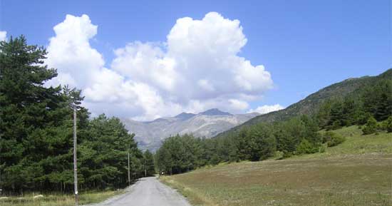 La commune de Saint-Léger  recherche un locataire-gérant pour l'Auberge du Coustet à 1000m d'altitude.

Les atouts :
L'auberge est située aux portes du Parc du Mercantour, des gorges du Verdon, à 40 minutes des pistes de ski de Valberg. Les randonnées sont nombreuses pour profiter des sites alpins environnants, du Parc National du Mercantour et de la route des Grandes Alpes. Le site est connu par les motards et les passionnés de vélo.
La localisation de l'auberge particulièrement favorable à l'observation des étoiles est un atout majeur pour l'accueil des publics de plus en plus nombreux qui se passionnent pour la Réserve Internationale de Ciel Étoilé.

Rénovée en 2025 sur le plan énergétique, elle comporte avec une salle de restauration ouverte sur le paysage (40 couverts intérieurs et 30 extérieurs), un bar, un hôtel de 7 chambres, deux gites d’étape d’une capacité de 23 personnes,
L'auberge est équipée (meubles, linges de literie, linges de toilettes, couverts,  couverts, verres, matériels de cuisine, tables, chaises, etc.)
Compte tenu du classement de la commune dans France Ruralité Rénovation (Zone FRR, anciennement ZRR), les gérants pourront bénéficier d'une exonération totale d'impôts et de charges sociales du personnel durant les 5 premières années, puis d'une réduction dégressive durant les 5 années suivantes.

L'établissement dispose également de l'agrément "Jeunesse et Sport" permettant d'accueillir des groupes d'enfants ou d'adolescents notamment dans le cadre des classes vertes ou de neige.

Notre attente :

La Commune recherche donc un ou un professionnel de restauration ayant une volonté certaine à mettre en avant les qualités d'un site aussi remarquable. Celui-ci devra être titulaire du permis d’exploiter, de la HACCP et devra être secondé  par une deuxième personne pour le service et la partie hôtellerie 
Nous attendons la création d'une ambiance chaleureuse et accueillante au sein de l'auberge.
le loyer mensuel est de 450.00 €/ht et une caution de 9000.00€ est demandée.
Le territoire étant doté de producteurs locaux, le "fait maison" et les circuits courts pour la partie restauration sont à privilégier.
Le dossier de candidature est à envoyer par mail et sera composé des pièces suivantes :
CNI, CV, permis d’exploiter, HACCP et lettre de motivation
Pour une ouverture Printemps 2026