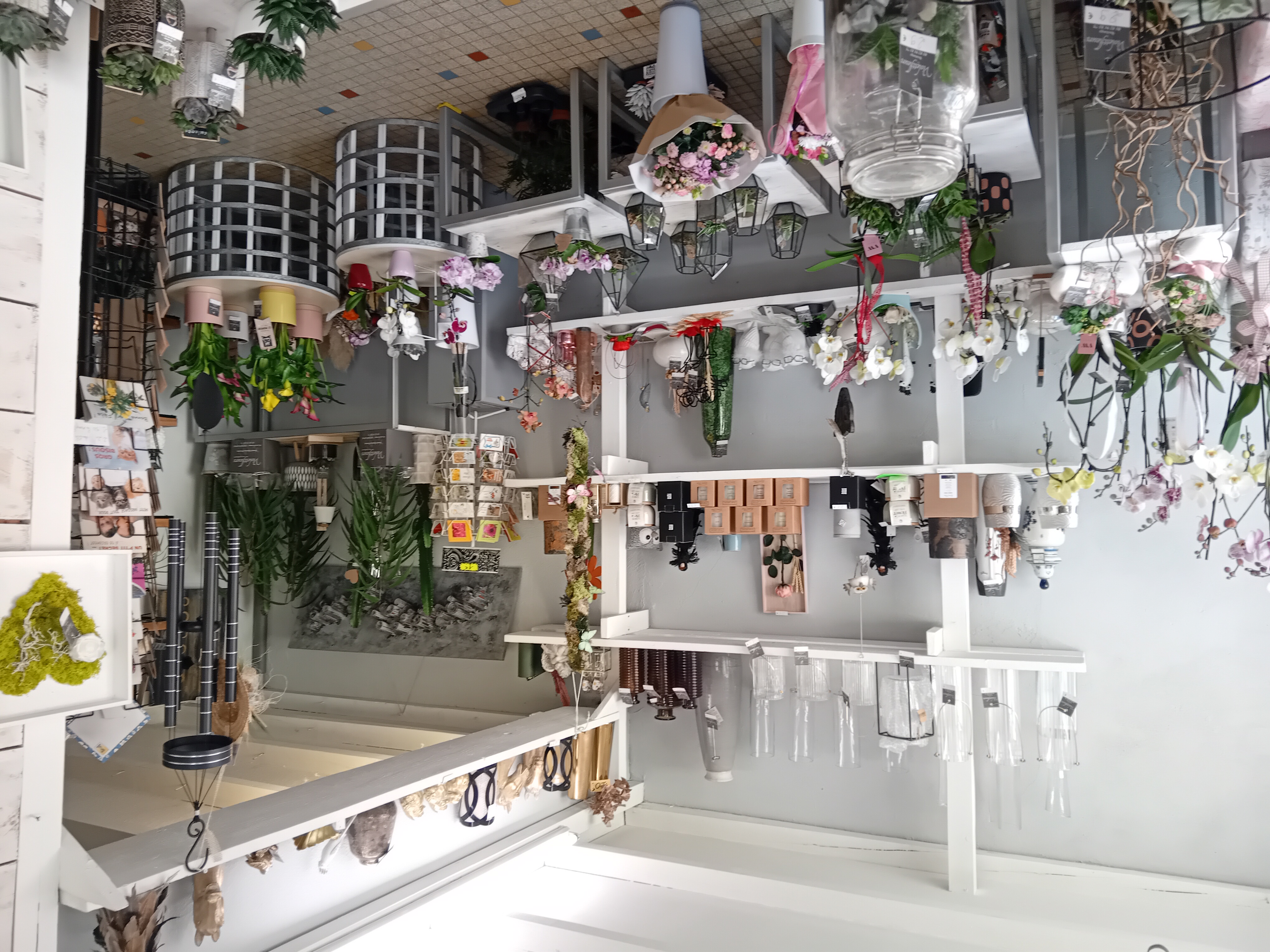 Belle affaire à saisir pour cause retraite.
Magasin situé à 15 kms de la frontière Luxembourgeoise.
Ouvert en 1983, avec une clientèle fidèle, dans un esprit à la fois villageois, mais en demande de nouveautés et de modernité.
50m2 environ, petit loyer, bon chiffre d'affaire.
Le magasin est situé dans la rue principale, face à la boulangerie, l'église, près du cimetière et de la pharmacie.
Il est vendu avec un stock d'environ 8000€ de marchandise, compris dans le fonds. 
Pas d'employé, possibilité d'accompagnement pendant le temps nécessaire à l'installation.
Le chiffre peut doubler avec une inscription INTERFLORA, car il n'y a pas de concurrence dans ce domaine.
Si votre rêve est d'avoir votre propre boutique, c'est maintenant.....