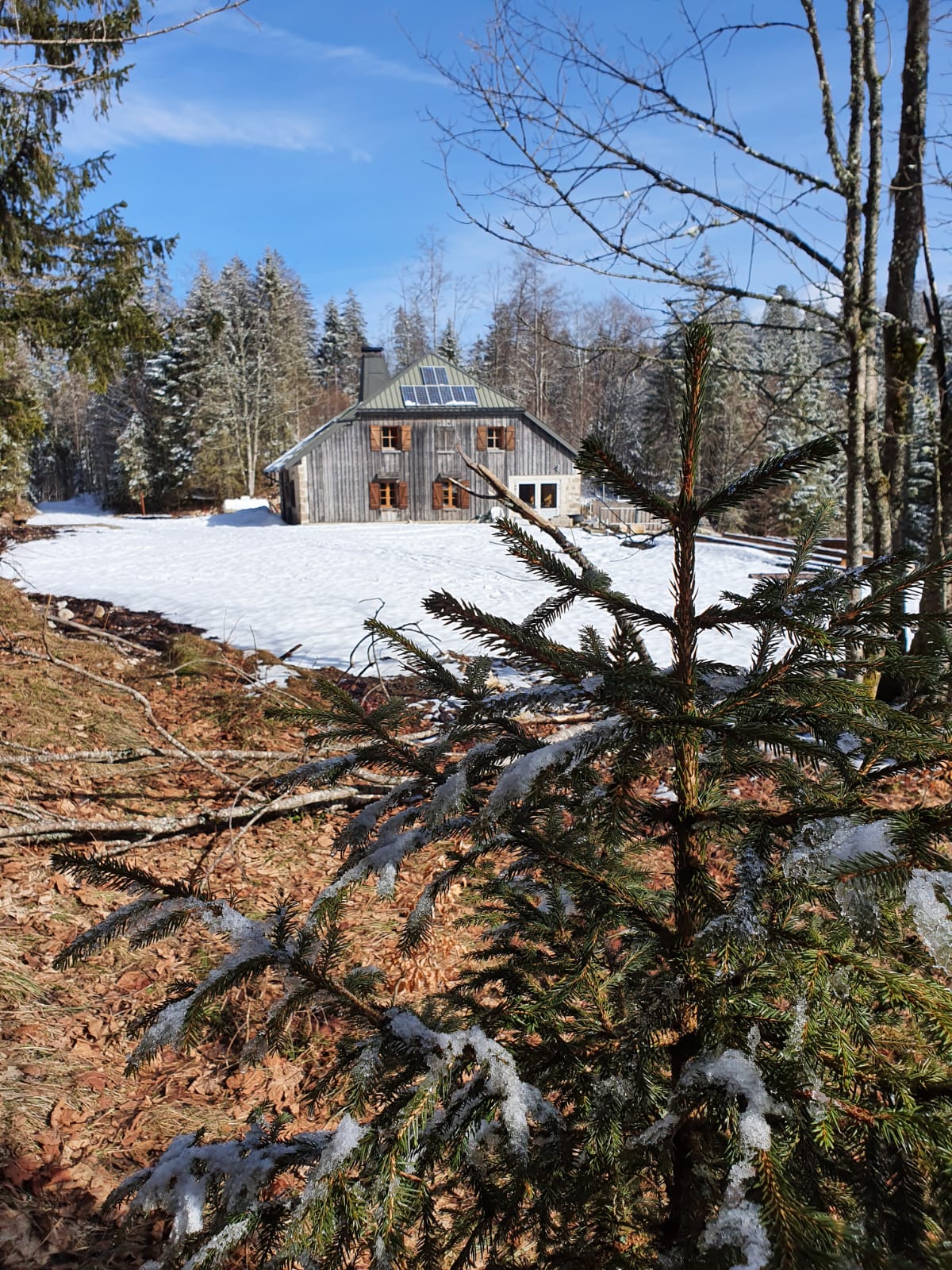 Auberge d'altitude autonome, en pleine nature sur 5000 m2 de terrain. (Parc naturel du Haut Jura).
A 1173 d'altitude idéalement située entre le Doubs et le Jura sur la commune de Châtelblanc, aux portes de la Suisse, sur le tracé de la GTJ (grande traversée du Jura) le GR5, sentiers de pays, pistes de skis de fond, raquettes, VTT et randonnées.

Auberge de caractère comprenant 

rez de chaussée :
une cuisine professionnelle 
Deux réserves
2 salle de restauration 1x30 et 1x10
1 wc adaptée PMR
2 terrasses de 30 personnes 

A l' étage :
3 chambres 
1 wc
1 salle de douche 
1 salon
1 appartement de fonction indépendant 

Dépendances :
1 garage 
Locaux techniques 
Groupe électrogène 20kva automatique 
Wc secs
Bûcher pour 15 stères de bois
Citerne incendie 30000L d'eau enterrée 
Citerne gaz enterrée 

Autonomie :
Énergies renouvelables panneaux photovoltaïques 
Eau de source 
Assainissement écologique 
Chaudière gaz / radiateur 
Chauffage bois/ cheminées et fourneau Jotul

Chambres d'hôtes :
3 chambres dans l'auberge 
3 lodges(chalets) extérieurs autonomes dont un pmr

Accès :
Route goudronnée de 4 km jusqu'à 300 m de l'auberge puis chemin carrossable.
Pour l'hiver en cas de neige, accès en véhicule à chenilles, ski, raquettes ou à pieds ( piste de skis et raquettes tracées devant l'auberge).

Avec notre coeur ❤️ 
Nous souhaitons transmettre "notre paradis"  à des passionnés comme nous, ayant la motivation de poursuivre une belle aventure humaine au plus proche de la nature avec une clientèle de 80 % locale et 20 % touristique.
Actuellement nous proposons de la restauration à midi et le soir du mercredi au dimanche, des privatisations  pour anniversaires, cousinades, mariages...quelques journées à thèmes et des nuitées avec 1/2 pension.
Pour régaler les papilles des gourmands nous travaillons des produits locaux mijotés et des Fondues Suisses.

Nous "passons la main" pour partir en retraite :)
Actuellement nous ouvrons 8 mois par ans avec 2 jours de repos hebdomadaires.
Affaire viable de suite avec une possibilité de progression à développer.