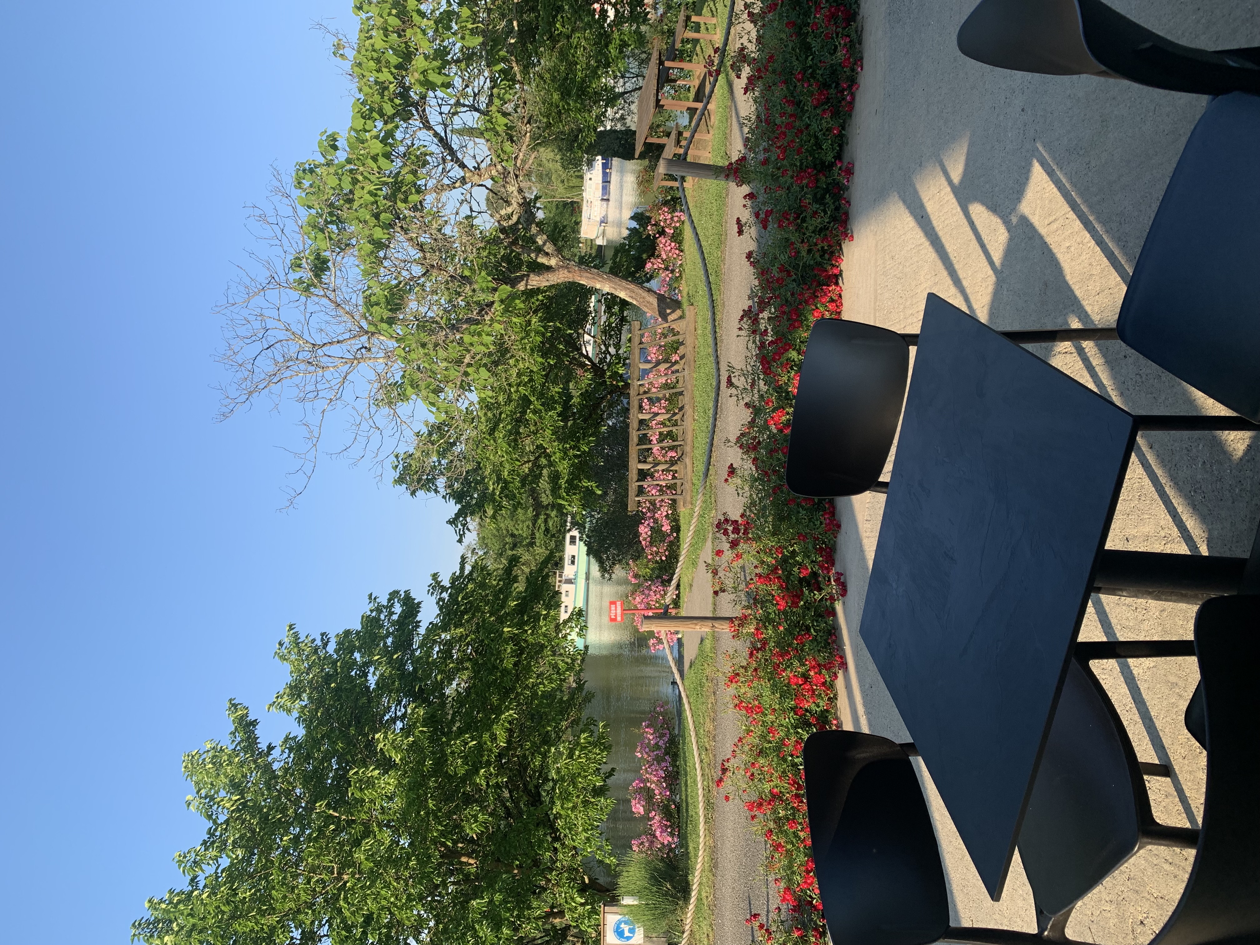 A vendre Fond de commerce Bar-Restaurant-Snack au coeur d'une halte nautique sur le canal des deux mers.
Offrez-vous une opportunité unique ! Situé dans un cadre idyllique sur la voie verte du canal, ce Bar-Restaurant bénéficie d'un flux constant de cyclistes, plaisanciers et touristes en quête d'une pause gourmande.
Les atouts :
Emplacement exceptionnel en bord de canal, face au port avec grande terrasse accueillante.
Clientèle diversifiée : locaux, voyageurs, évènements.
Cuisine entièrement équipée, espace bar convivial.
Potentiel de développement : soirées à thème, concerts, partenariats avec les activités locales, etc.
Surface totale de 600m2. Capacités de 85 couverts minimum en été.
Bail en cours.
Chiffre d'affaires stable avec potentiel de croissance.
Prix de vente : 198000€