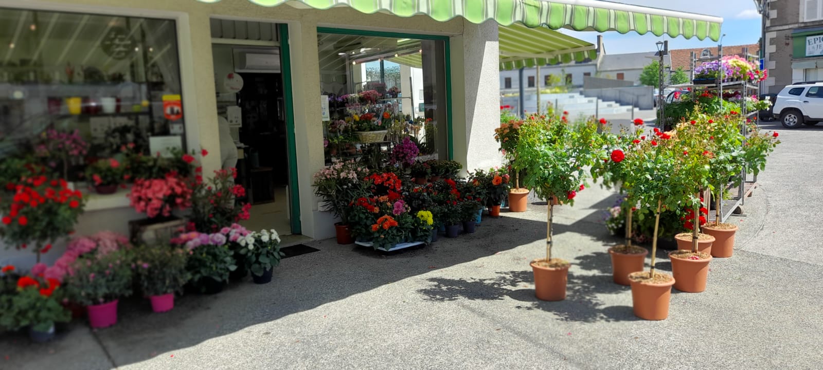 Charmant magasin de fleurs prospère situé au cœur de Mehun-sur-Yèvre, une charmante commune de la région Centre-Val de Loire, à 30 minute de Bourges, réputée pour son ambiance chaleureuse et son patrimoine historique.

Présent depuis 35 ans Camus Fleurs est une véritable institution locale, qui a su bâtir une solide réputation en fournissant des fleurs et un service de qualité à une clientèle fidèle. Le magasin bénéficie d'un emplacement idéale, il est facilement accessible depuis les principales artères de la ville, ce qui en fait un endroit de choix pour les clients locaux et les visiteurs. Stationné autour du magasin est un vrai atout pour la clientèle

Caractéristiques du magasin :
* Superficie du magasin (climatisé) : 35m2
* Labo +reserve avec chambre froide  : 30 m2
* Possibilité d’aménager un appartement de 4 pièces (travaux à prévoir) : 65m2
* Excellente visibilité grâce à une façade attrayante et une signalisation claire et visible.
* Stationnement devant le magasin


Motif de la vente : 
Le propriétaire actuel prend sa retraite après des années de succès dans l'industrie florale. Il souhaite trouver un nouvel entrepreneur passionné par le monde des fleurs pour prendre le relais et continuer à faire prospérer cette entreprise florissante.


Ne manquez pas cette occasion unique d'acquérir un magasin de fleurs florissant, avec une réputation établie et un potentiel de croissance prometteur. Si vous avez toujours rêvé de gérer votre propre magasin de fleurs dans une région charmante et dynamique, contactez-nous dès aujourd'hui pour discuter de cette opportunité commerciale exceptionnelle.

www.facebook.com/camus.fleurs.1
NB : Les informations spécifiques sur les finances et les détails contractuels seront disponibles lors des discussions ultérieures avec les acheteurs potentiels.