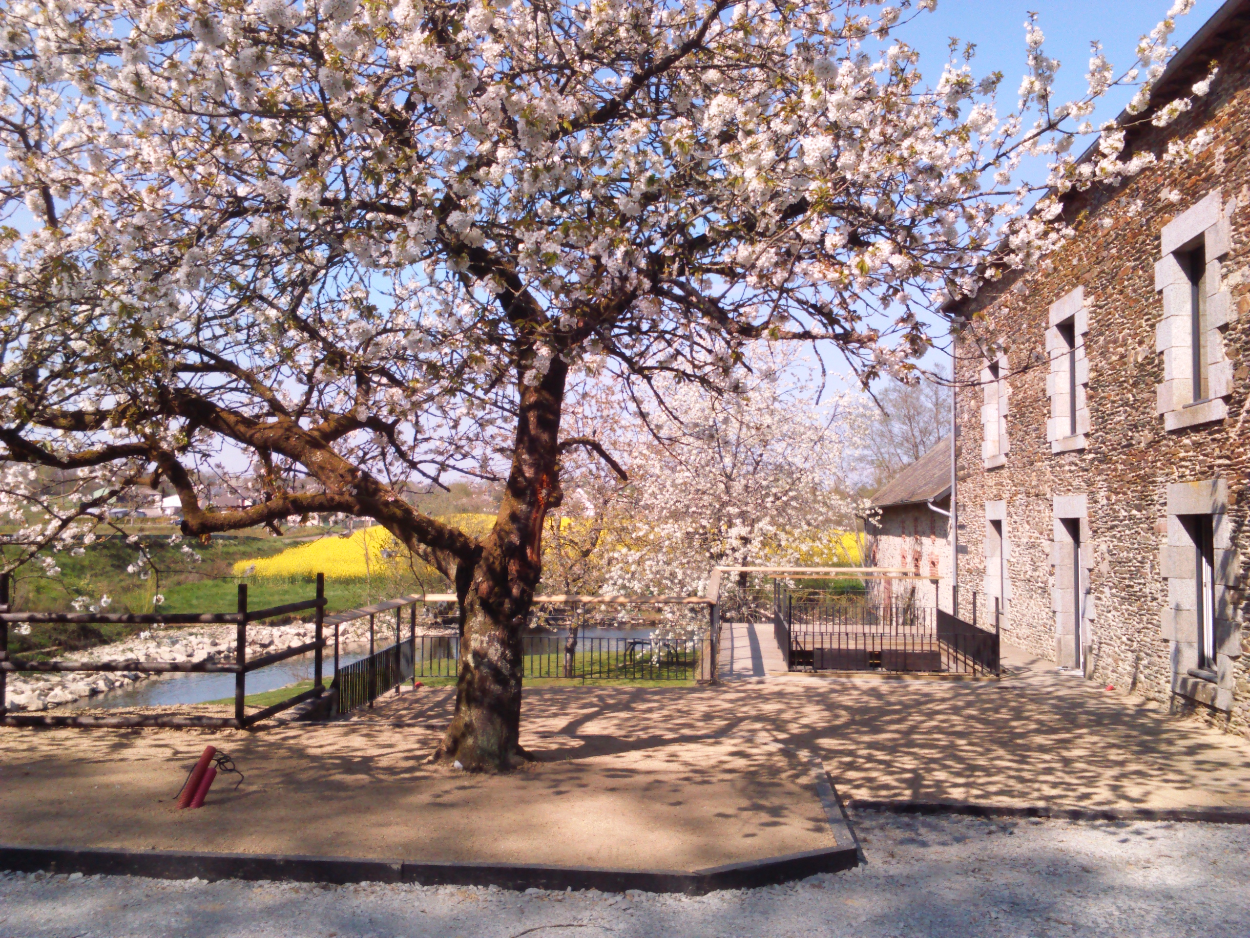 Moulin de 1850, entièrement rénové 4 chambres d'hôtes sur la vilaine.
Commune de Saint-Aubin des Landes
Un fond de commerce de restauration, bar licence 4, 45 places intérieures,
30 places en terrasse
Cuisine équipée professionnelle
Murs et fond a définir