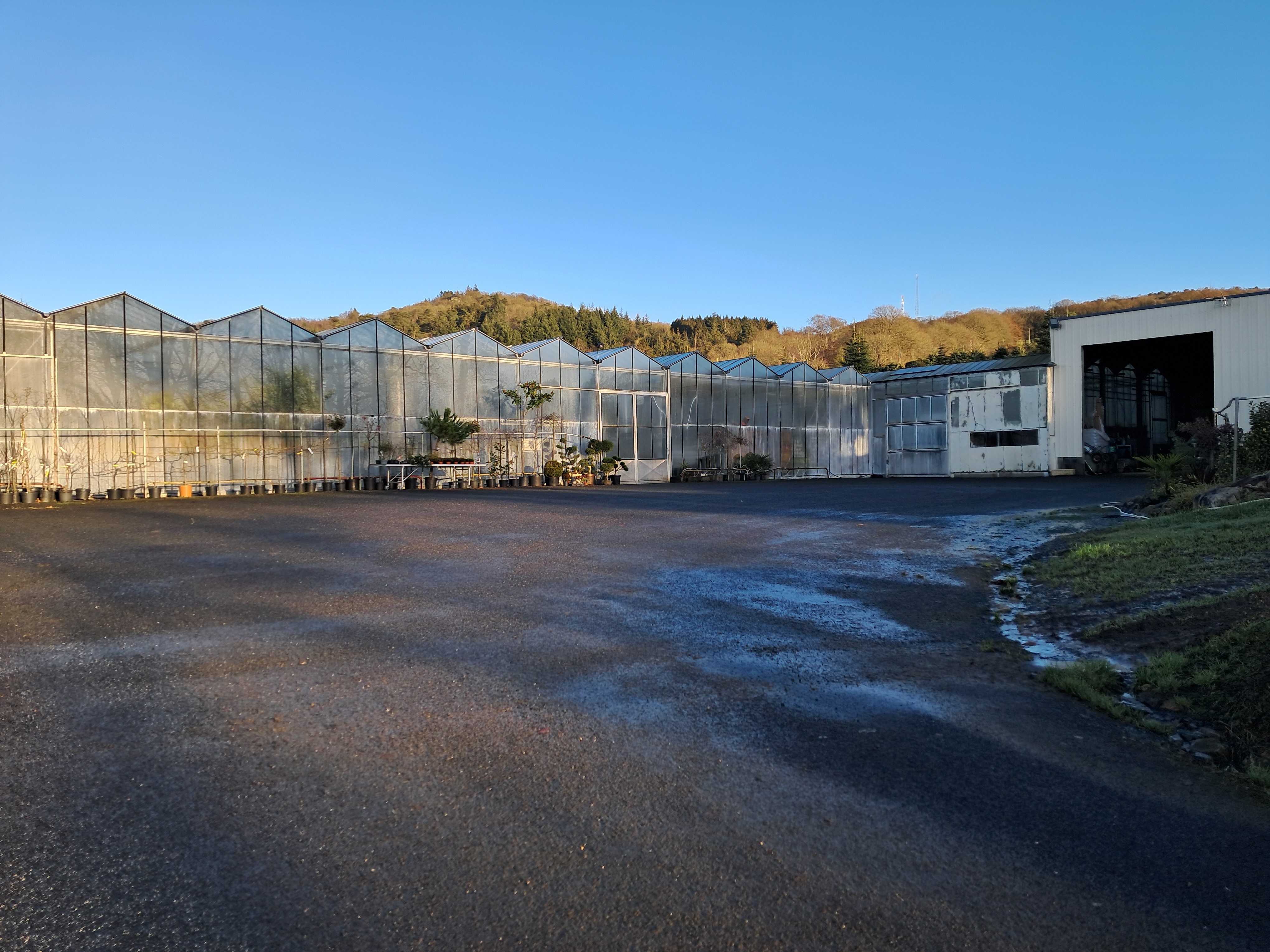 Exploitation horticole à vendre avec emplacement facile d'accès, un cadre agréable, en vente directe, outil qui peut s'adapter à d'autres productions. 

Localisation : département de la Manche, proche de Mortain-Bocage.

Exploitation :
- Type d'installation : individuelle
- Mode de cession : tout en vente
- Activité : culture sous serres et tunnels, pépinières, horticulture,  maraichage
- SAU : 3,00 ha
- Logement repreneur : logement à trouver

Foncier : exploitation horticole serre de 2 400 m2 en verre de 1999 et 2006 : 
- ouverture automatique selon une température définie
- arrosage automatique
- chauffage avec 3 chaudières fuel
- couloir bétonné 
- bâtiment fonctionnel, en bon état
- avec magasin
- bureau
- grande cour bitumée
- parc matériel (camion, tracteur, broyeur, caisse, pulvérisateur, remorque horticulteur)

Pour plus de détails, vous pouvez nous contacter au numéro affiché.