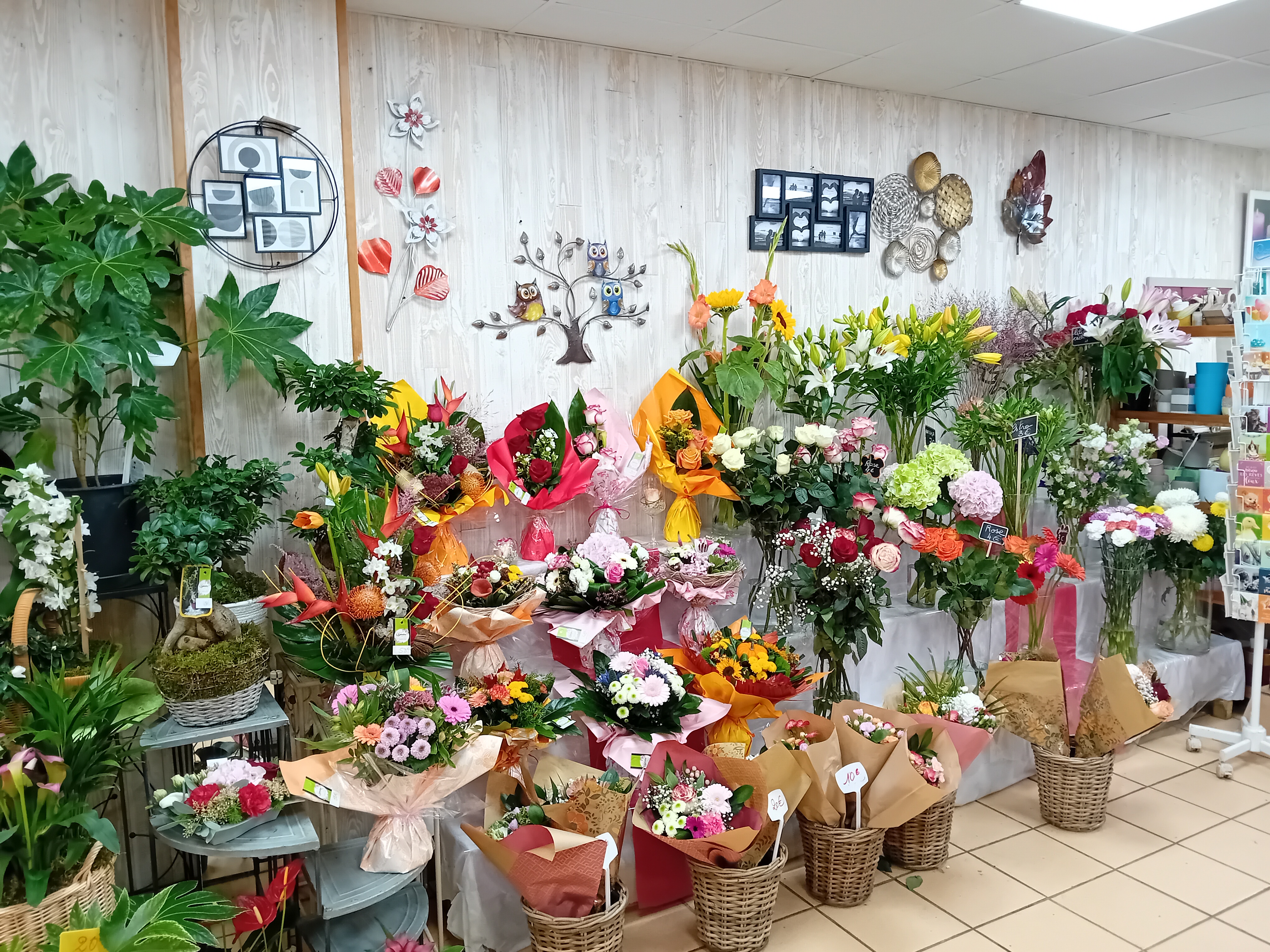 A vendre fond de commerce fleuriste/cadeaux/ articles funéraires dans ville de 3500 habitants , surface de vente de 120 m2 avec possibilité étalage extérieur dans une rue piétonne.