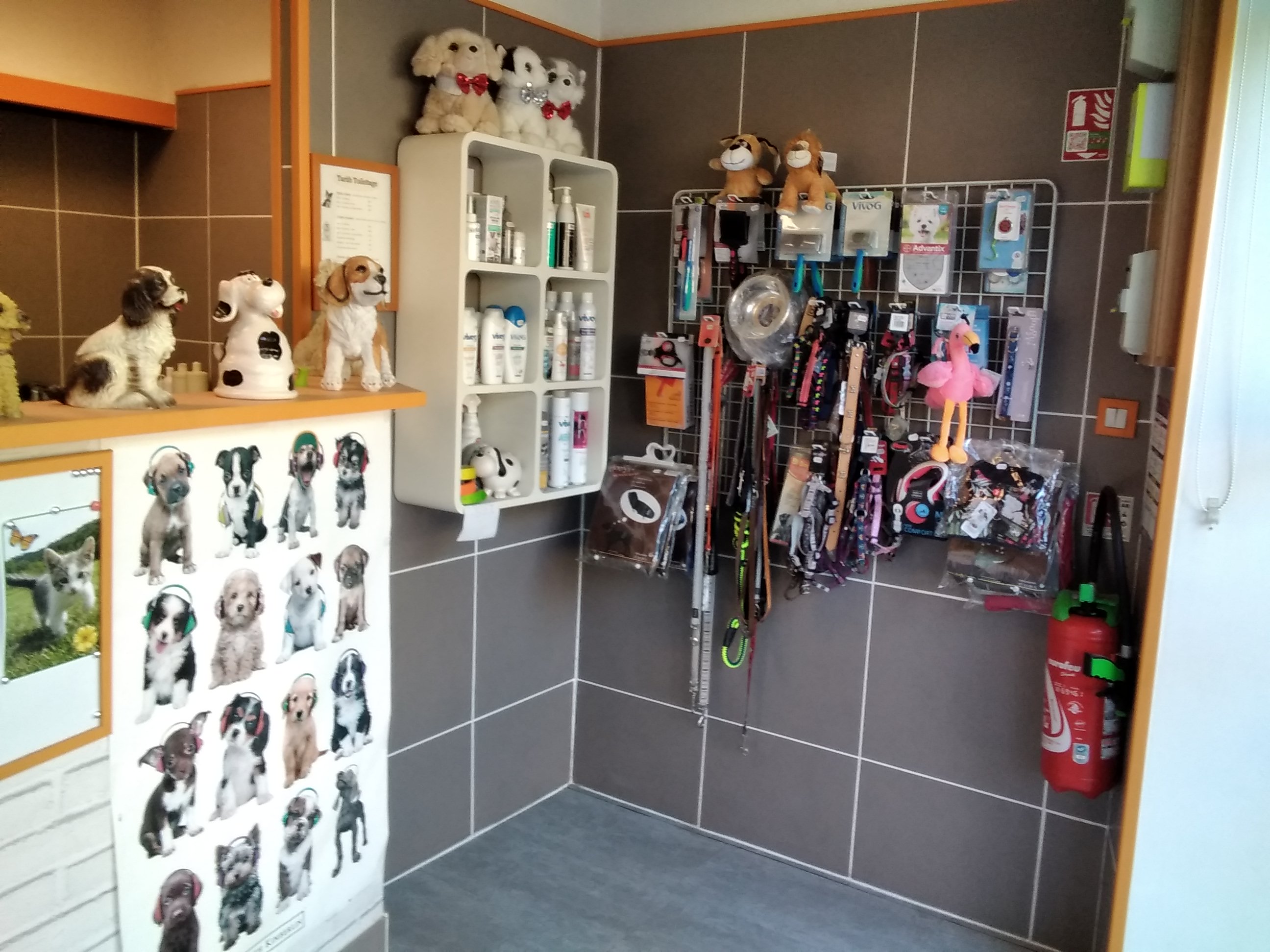 Salon de toilettage très bien situé sur un boulevard,clientèle fidèle et très agréable.
Je suis installée depuis 11 ans er je souhaite trouver un repreneur amoureux des animaux et passionné par son métier et ainsi pouvoir prendre ma retraite