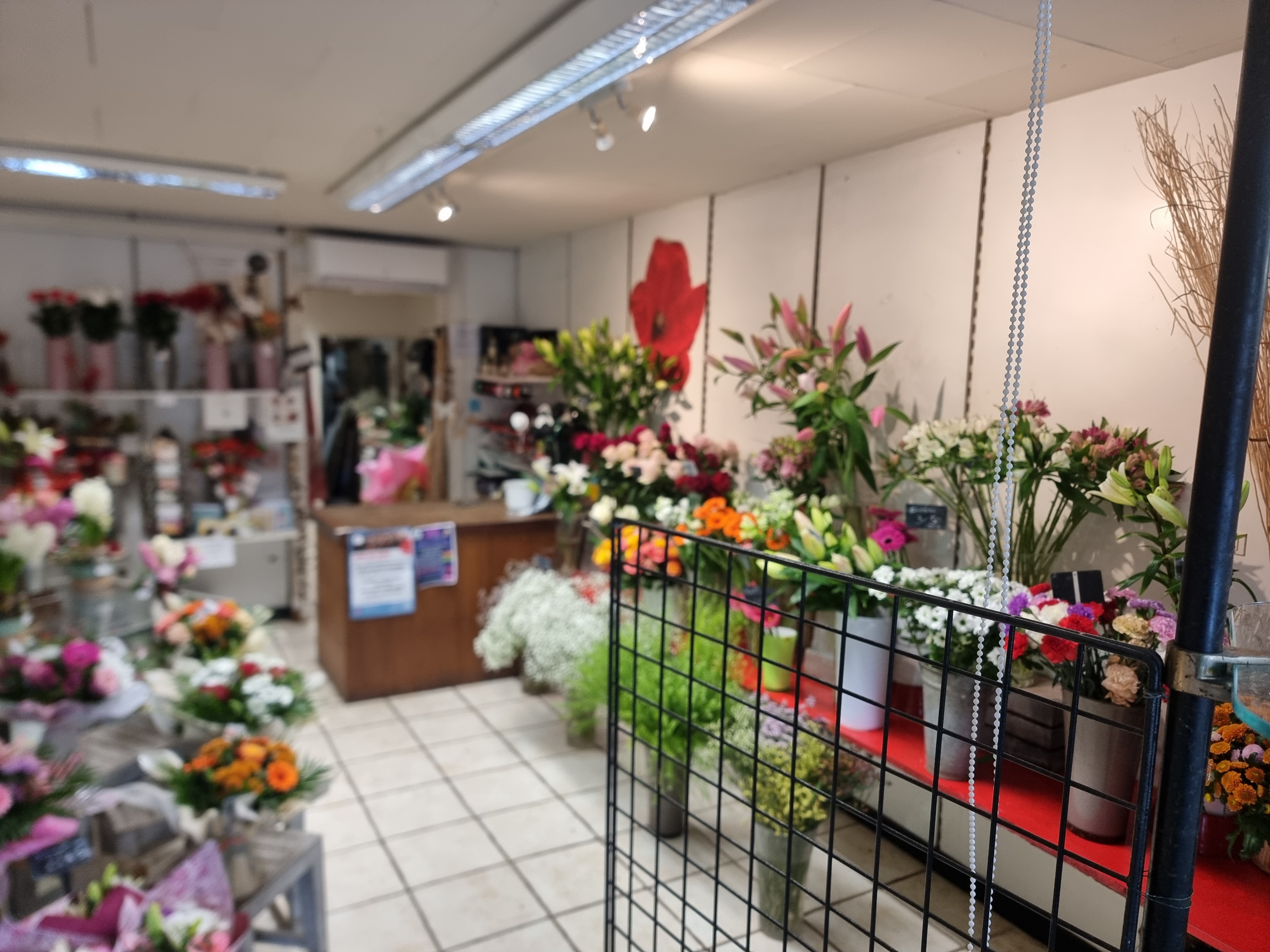 A céder fonds de commerce de fleurs situé dans le Rhône au pied du beaujolais.
en centre ville, en face de la poste et d'une boulangerie, à coté d'un primeur. Dans la même rue se trouve PFG , une agence immobilière, un bar à vin, une boucherie, une esthéticienne…
Local environ 40 M2 + réserves. 
Climatisation réversible.
Une chambre froide.

Loyer mensuel 692.44€.
Pas de personnel à reprendre.
Installé depuis 17 ans.

Pris du fonds de commerce :  35 000€