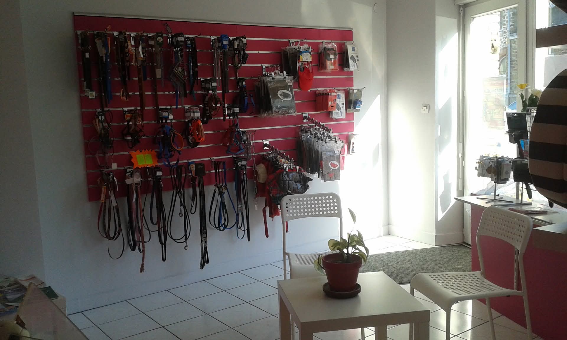 À VENDRE – SALON DE TOILETTAGE CANIN & FÉLIN CROC’MIGNON
Avec boutique d’accessoires pour animaux
Saint-Étienne-de-Montluc
Boulevard du Général Leclerc

Belle opportunité professionnelle
À vendre, salon de toilettage canin et félin bien implanté et bénéficiant d’une clientèle fidèle et régulière.

Le salon est idéalement situé sur un axe passant, offrant une très bonne visibilité, avec parking gratuit juste devant le local.
Le local
- Surface : 50 m²
- Bail commercial récemment renouvelé
- Loyer attractif : 561 € / mois
Équipements & activité
- Matériel complet inclus (activité clé en main)
- Salon opérationnel immédiatement
- Espace boutique dédié à la vente d’accessoires pour animaux

Conditions de vente
Prix de vente : 25 000 €
(fonds de commerce + matériel inclus)
Pourquoi investir ?
Un outil de travail prêt à l’emploi, idéal pour un(e) professionnel(le) passionné(e) souhaitant s’installer à son compte ou développer une activité existante, dans un environnement agréable et dynamique.